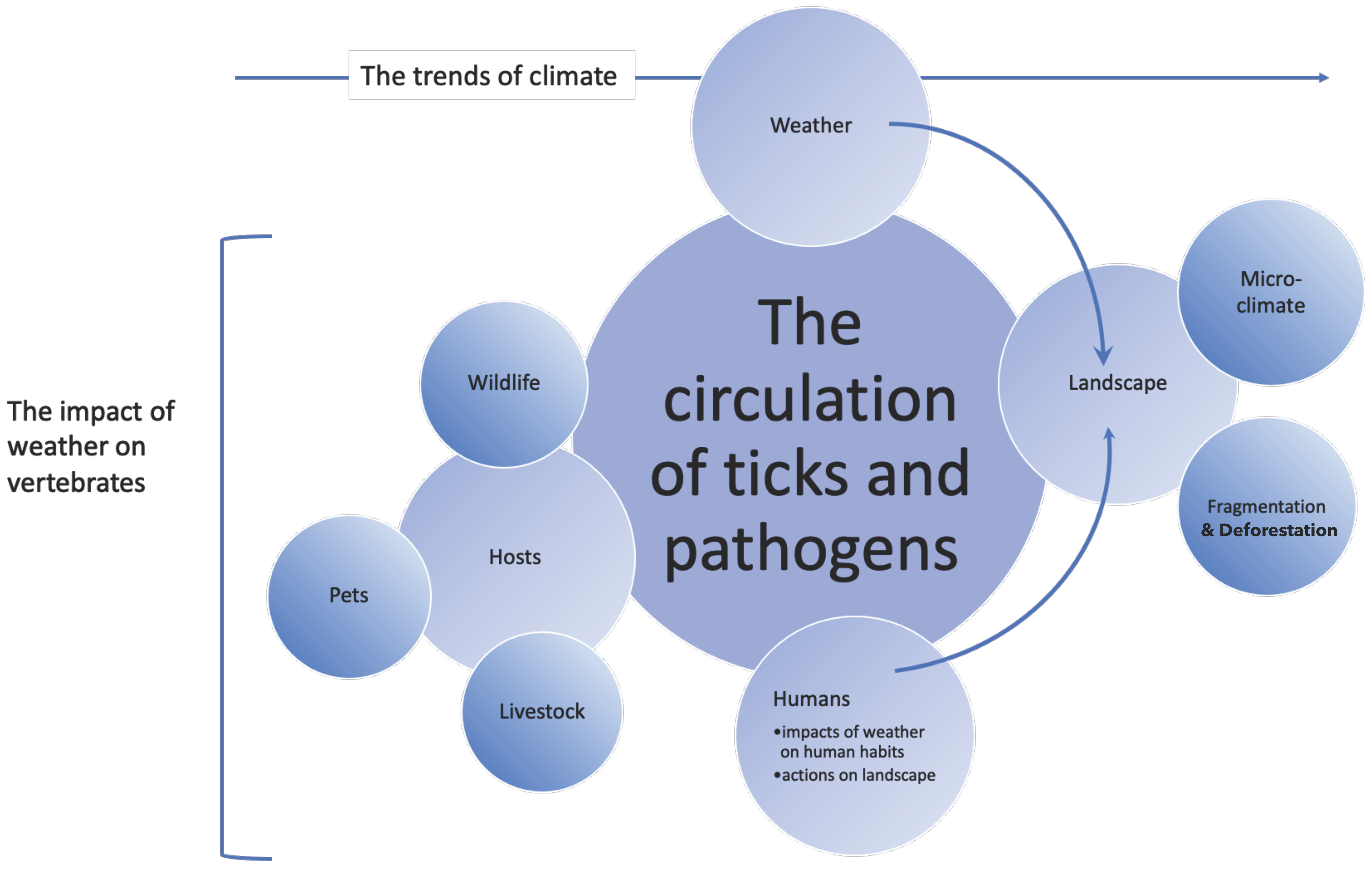 Ijerph 20 02206 g001