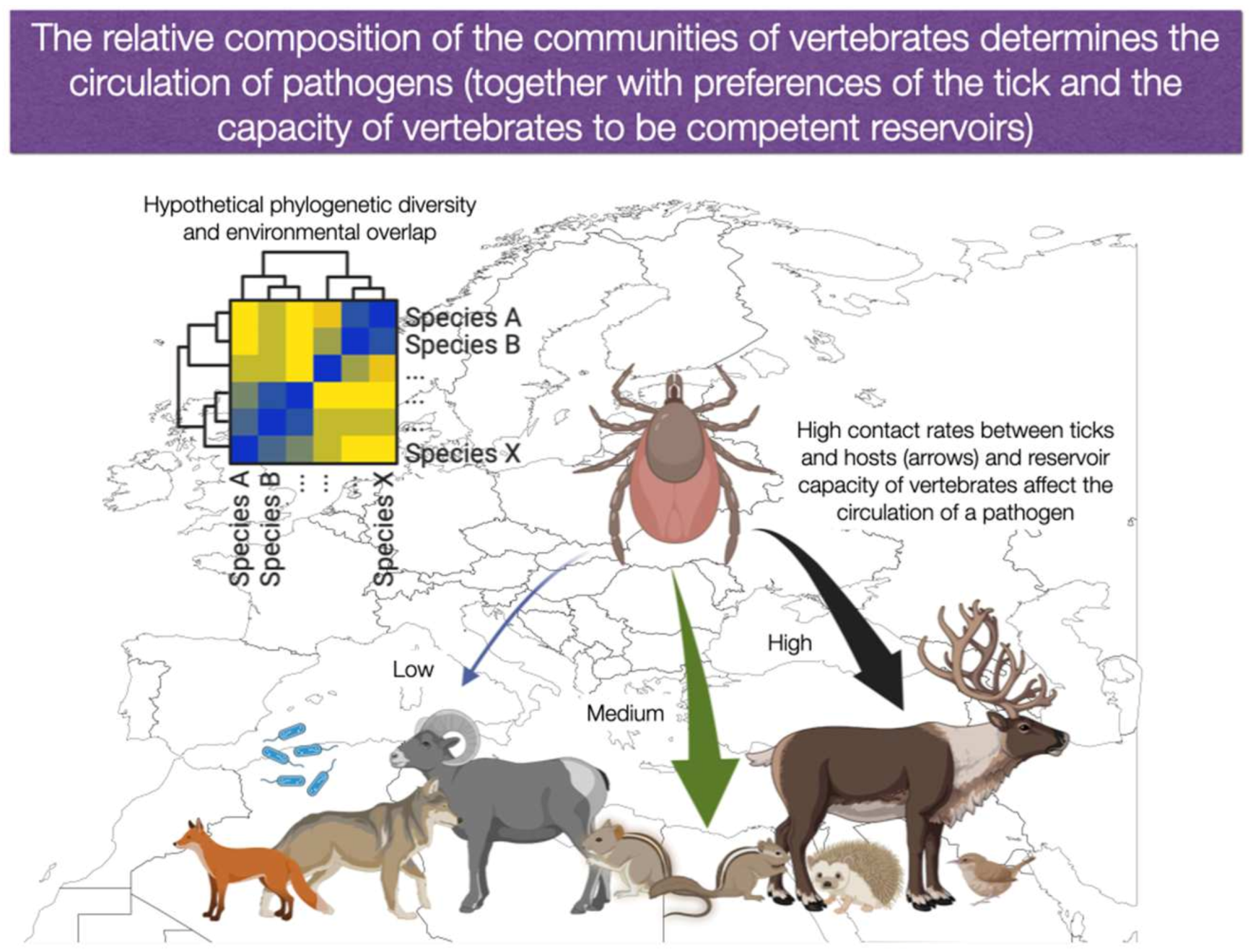 Ijerph 20 02206 g004