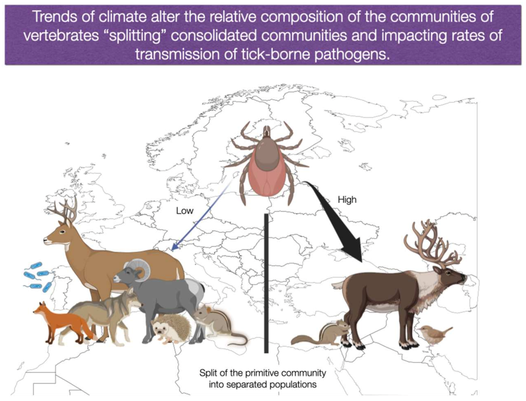 Ijerph 20 02206 g005
