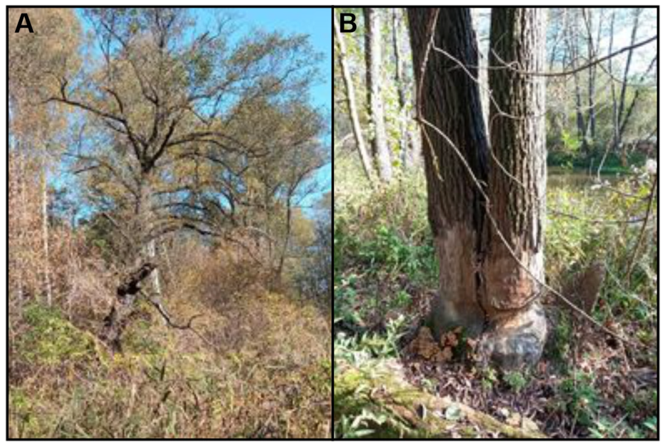 Ijerph 20 02255 g009 Ijerph 20 02255 g009