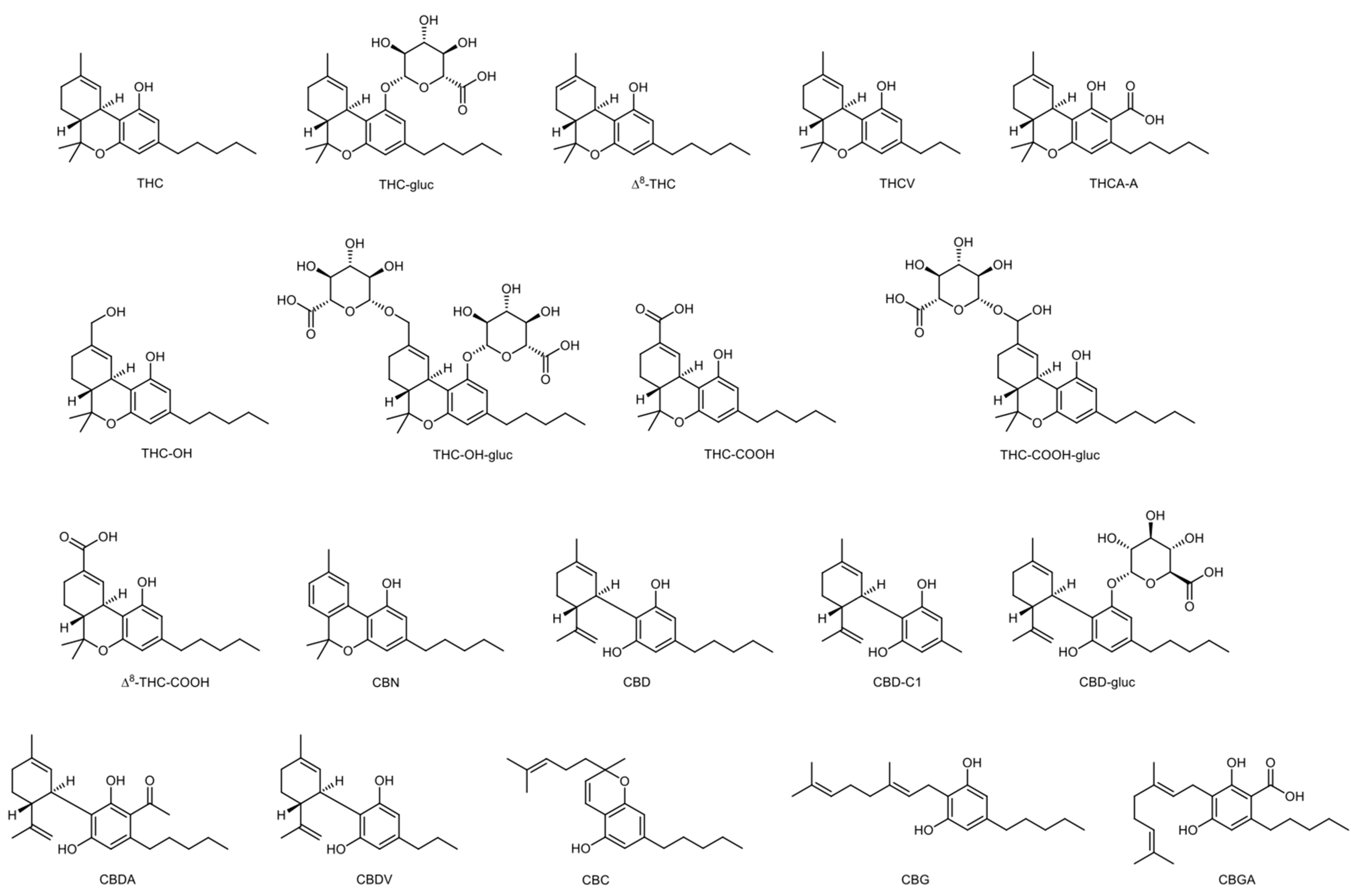 Ijerph 20 02312 g001
