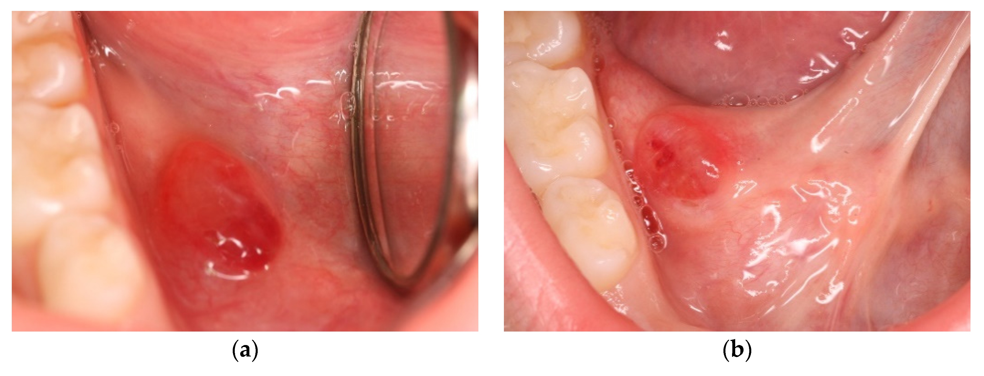 Ijerph 20 02398 g001