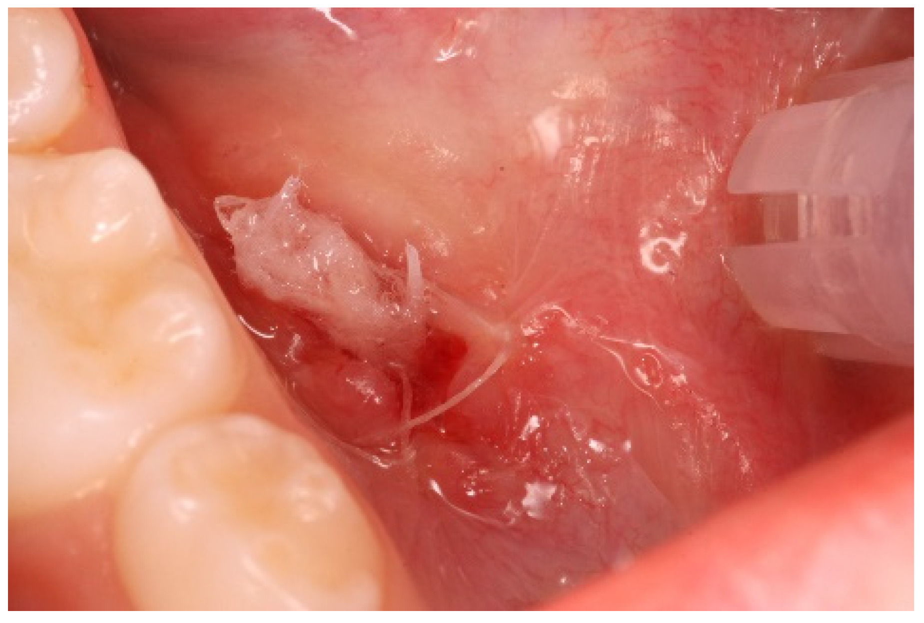 Ijerph 20 02398 g004