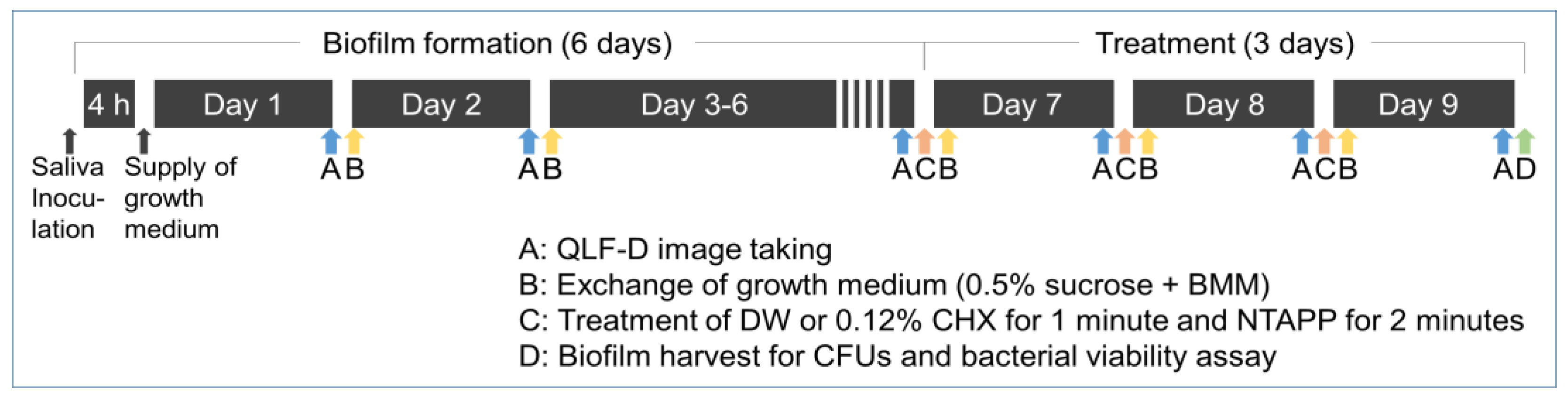 Ijerph 20 02447 g001