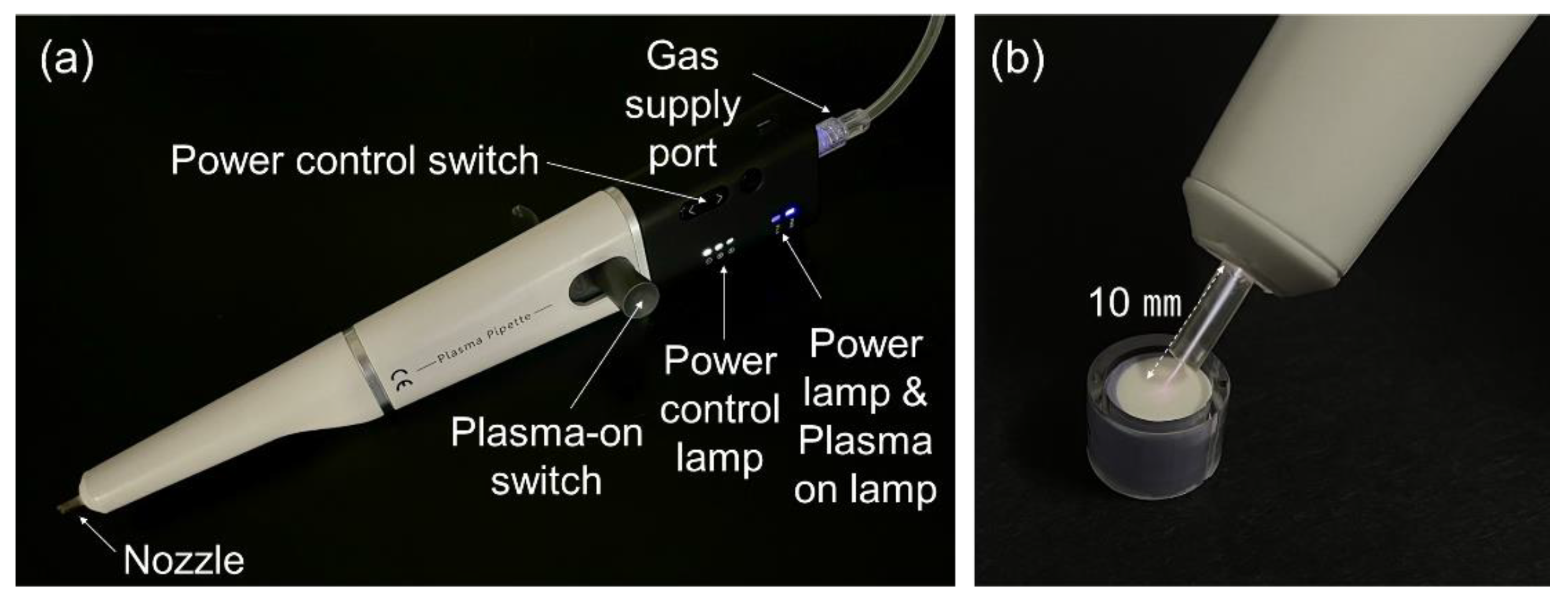 Ijerph 20 02447 g002