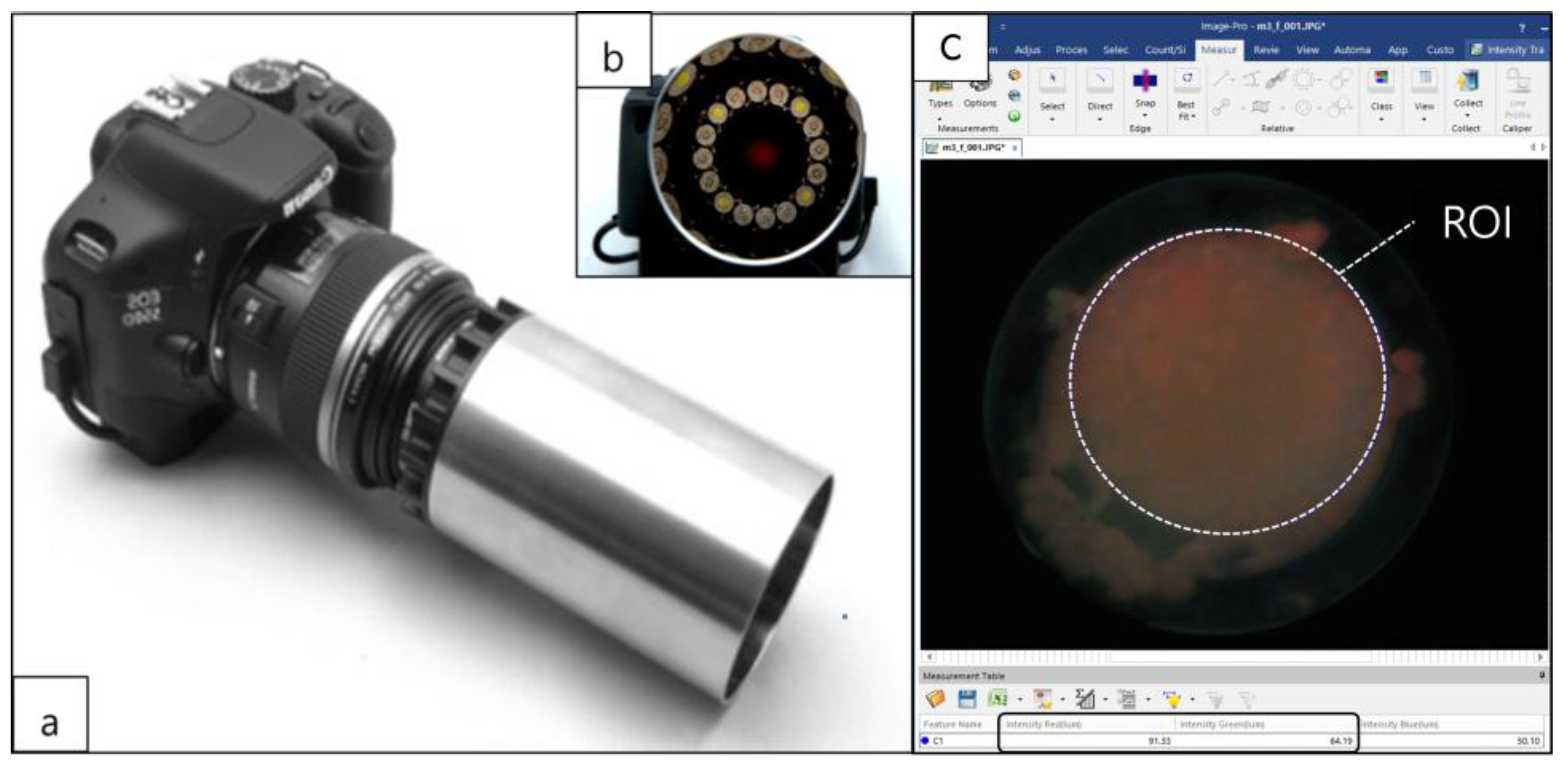 Ijerph 20 02447 g003