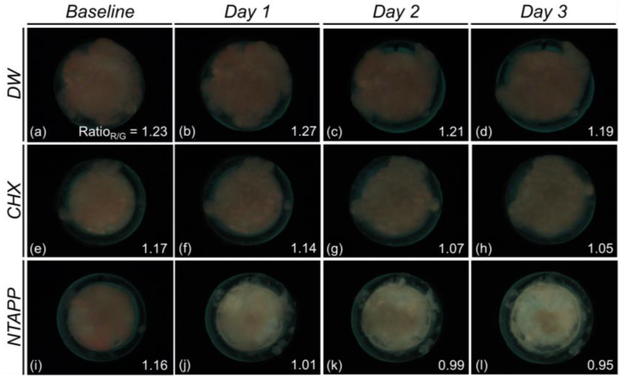 Ijerph 20 02447 g005