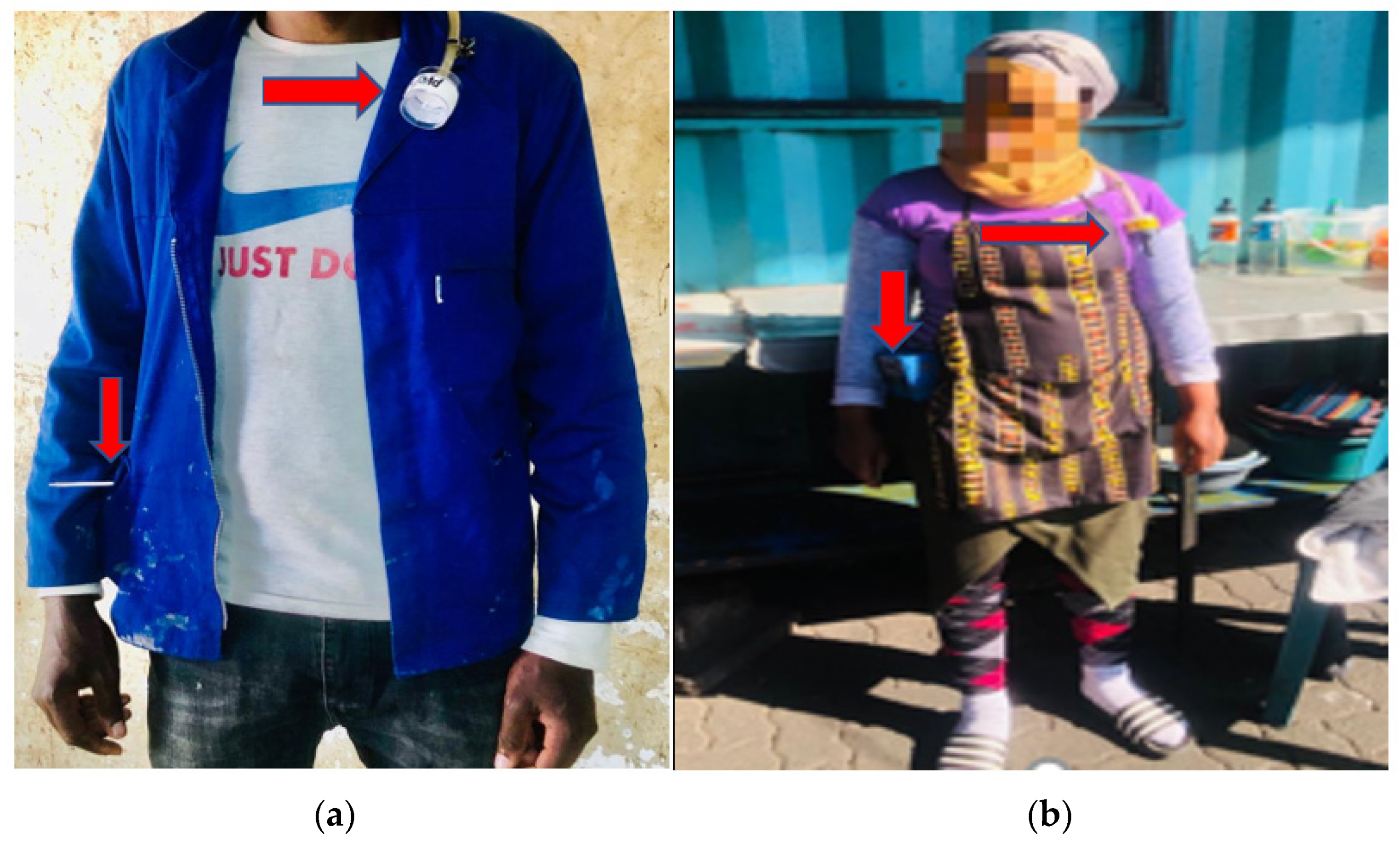 Ijerph 20 02465 g001