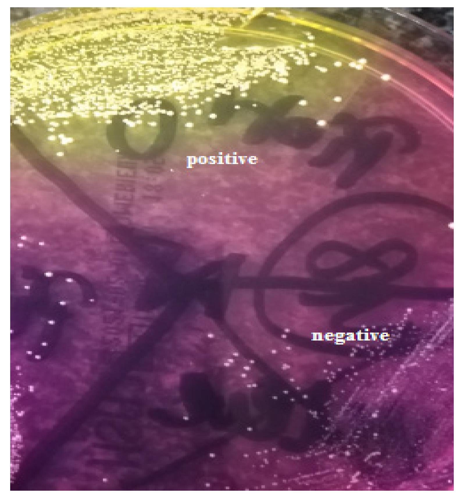 Ijerph 20 02474 g001