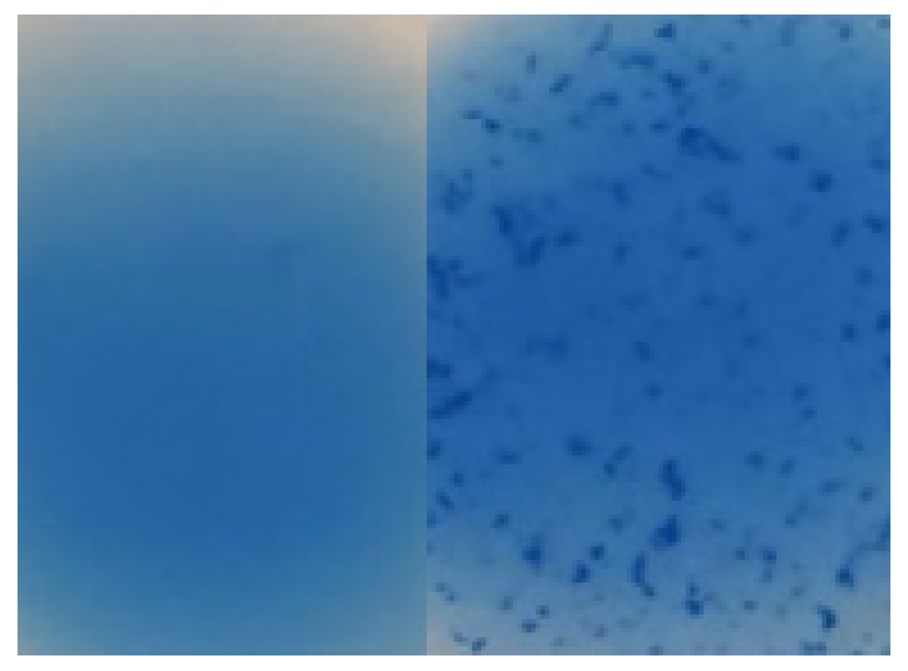 Ijerph 20 02474 g002