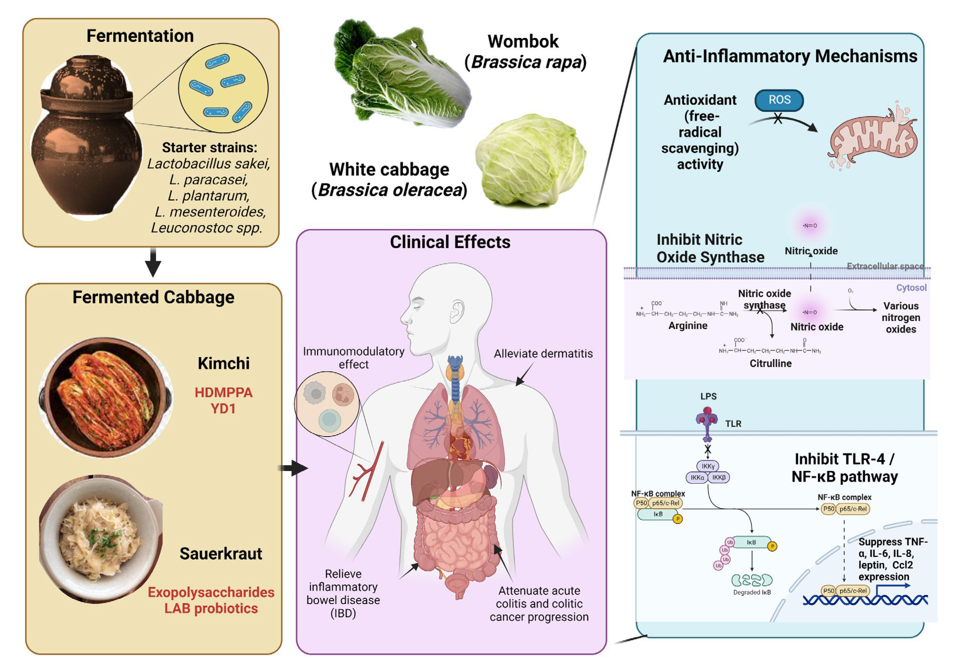 Ijerph 20 02481 g002 Ijerph 20 02481 g002