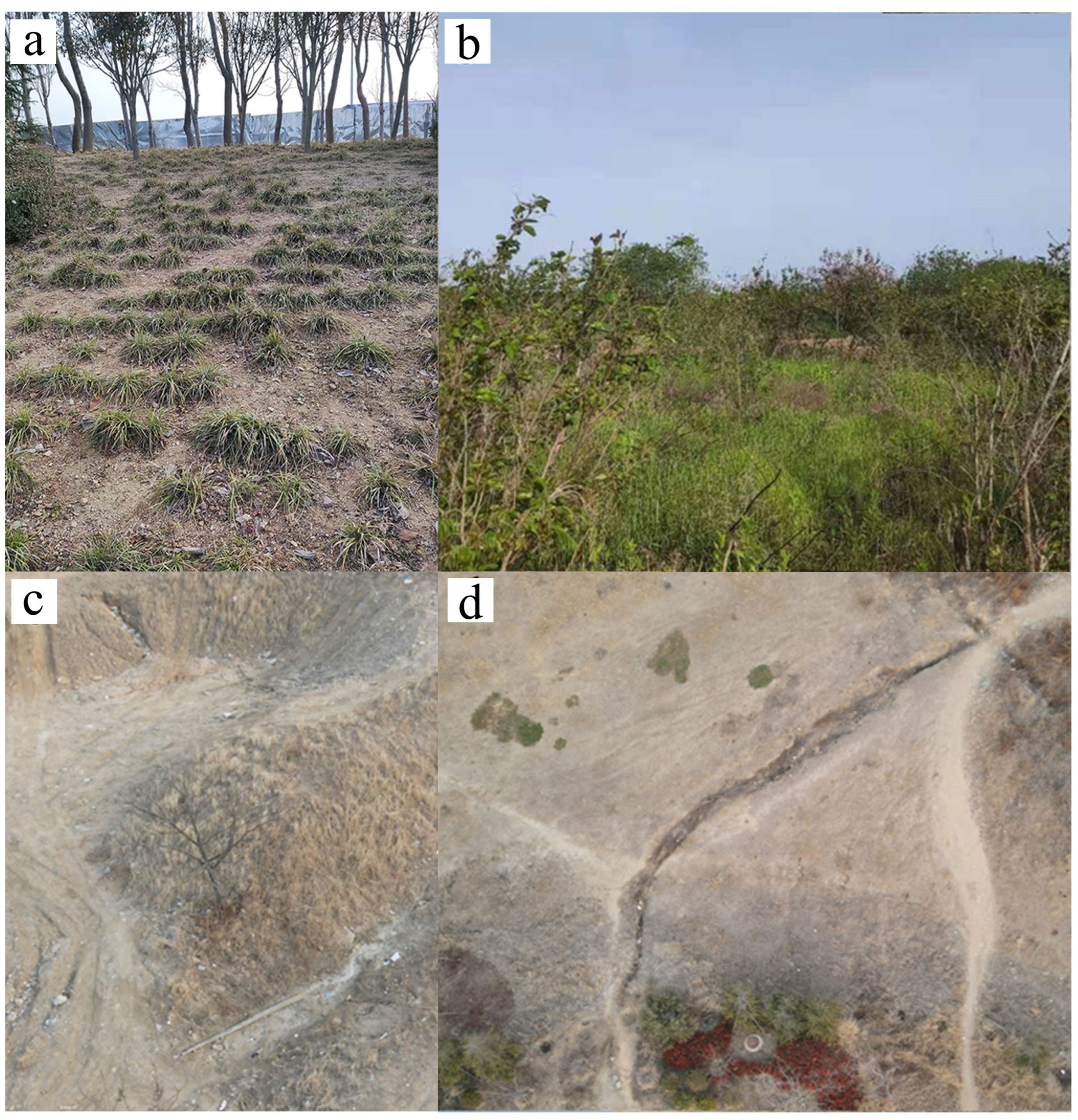 Ijerph 20 02513 g003