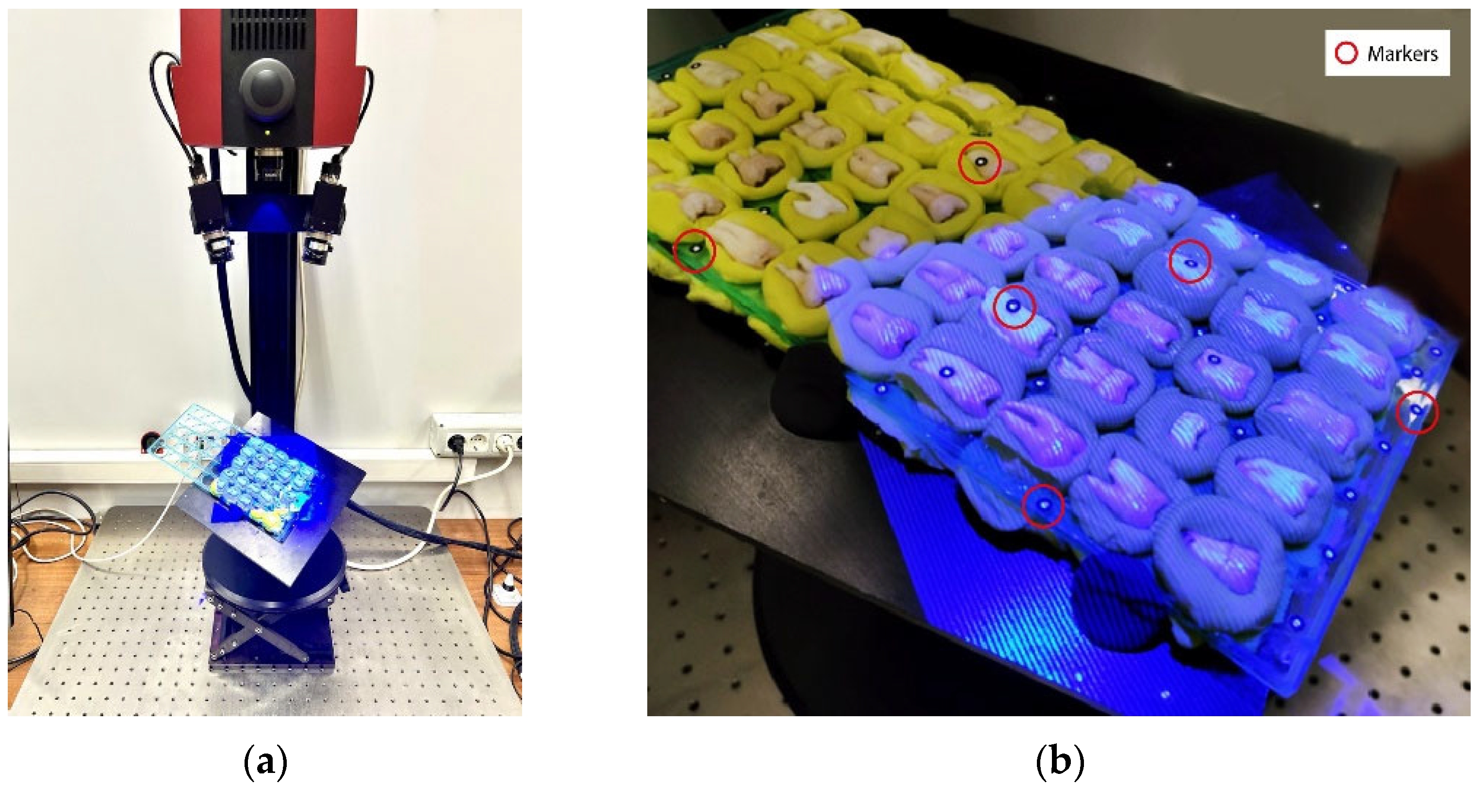 Ijerph 20 02516 g001