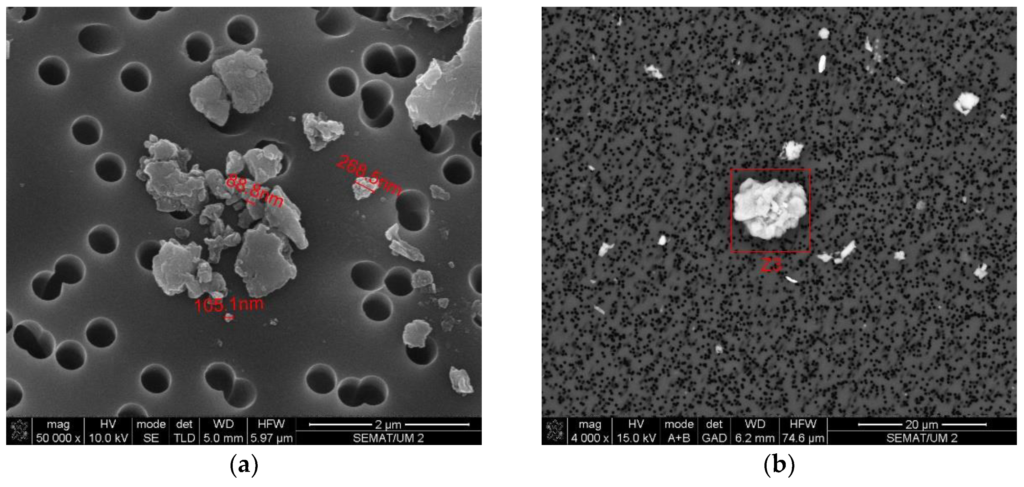 Ijerph 20 02519 g009 Ijerph 20 02519 g009