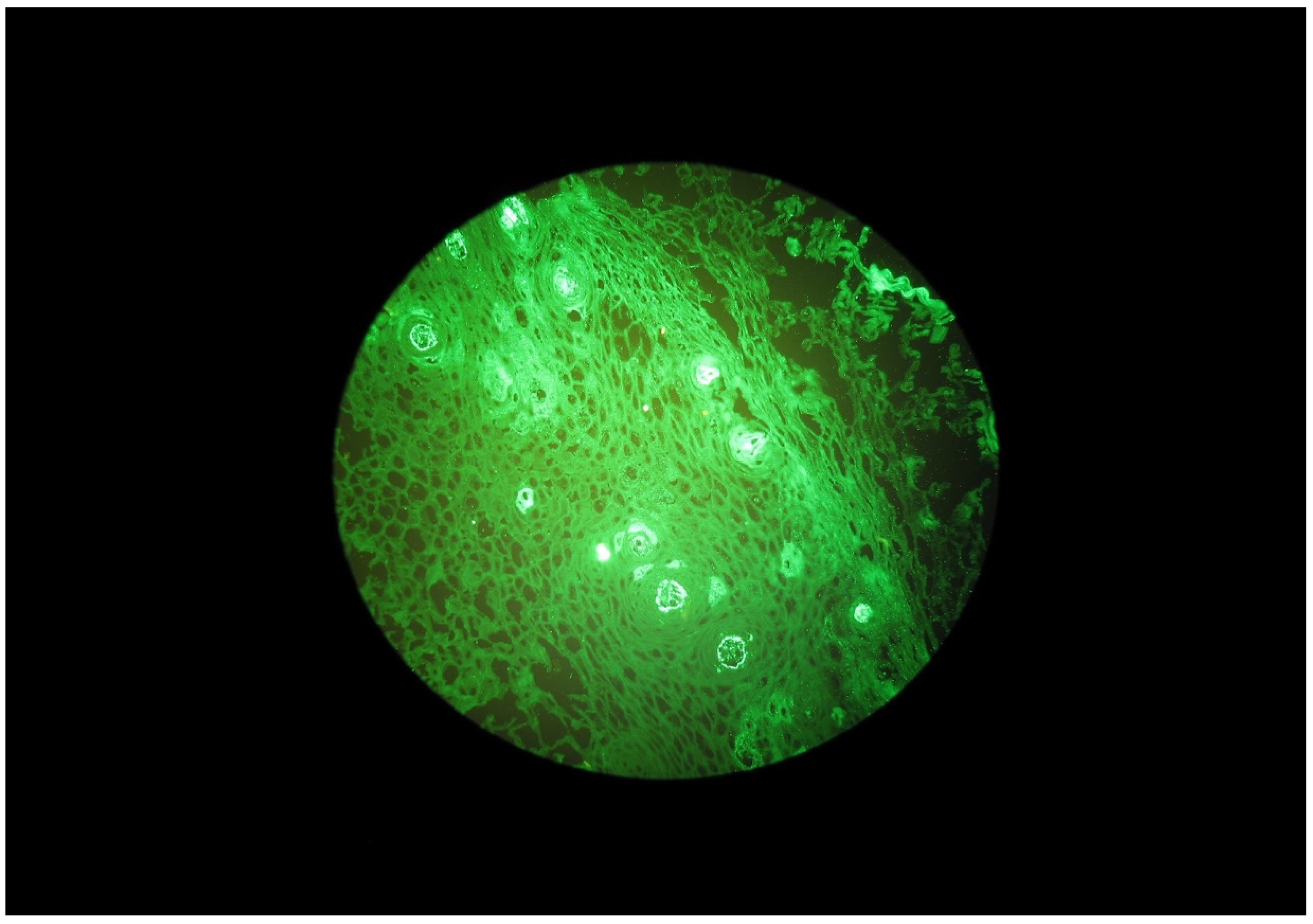 Ijerph 20 02524 g002