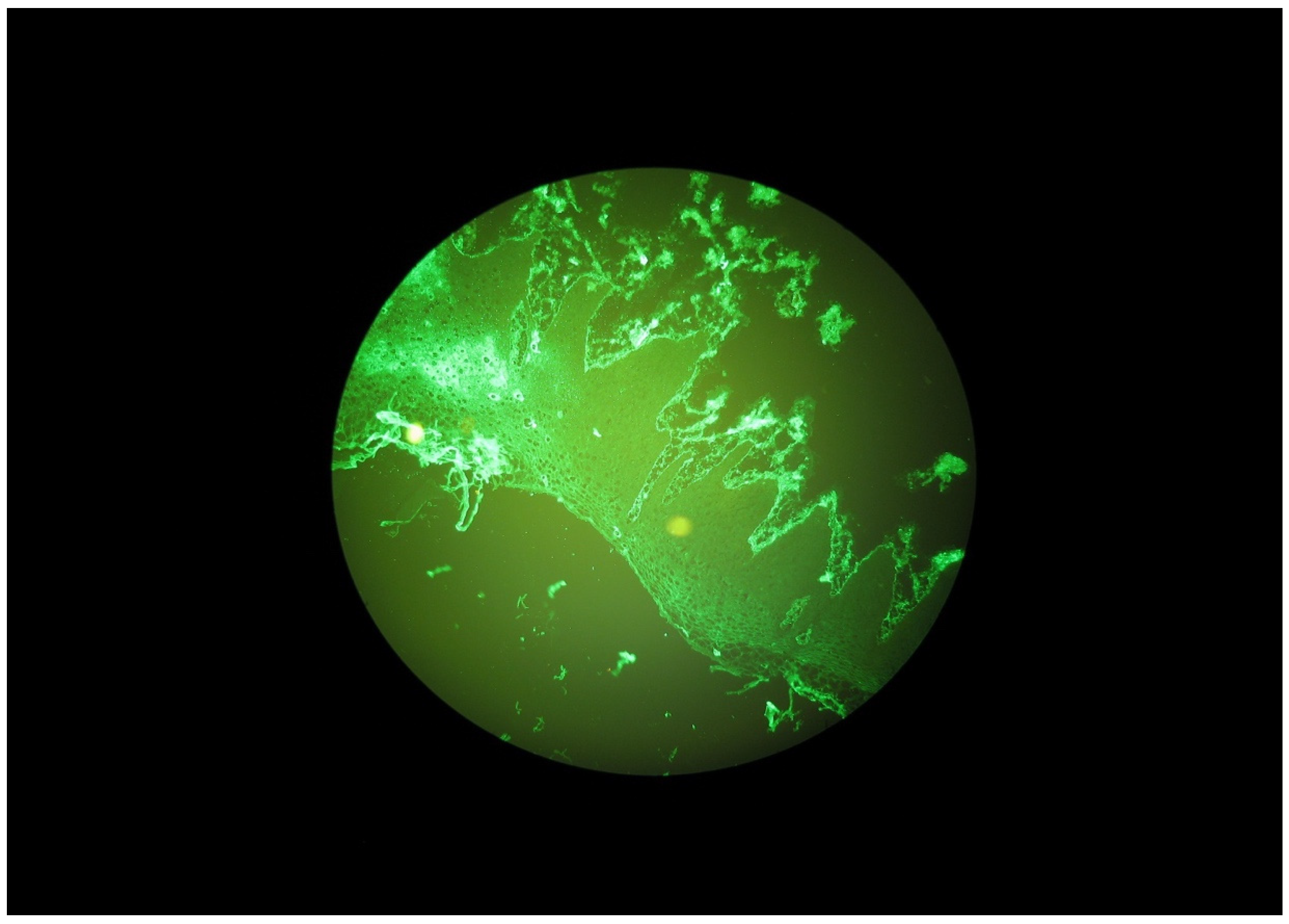 Ijerph 20 02524 g003