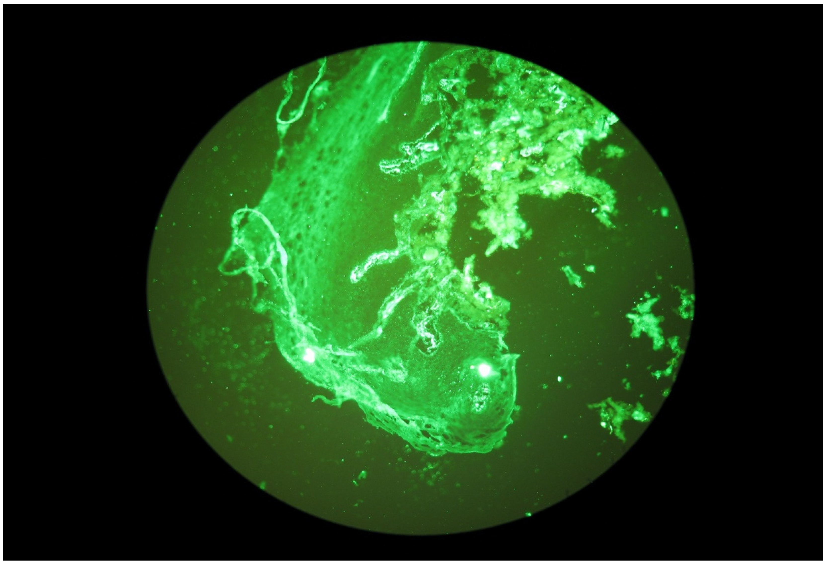 Ijerph 20 02524 g004