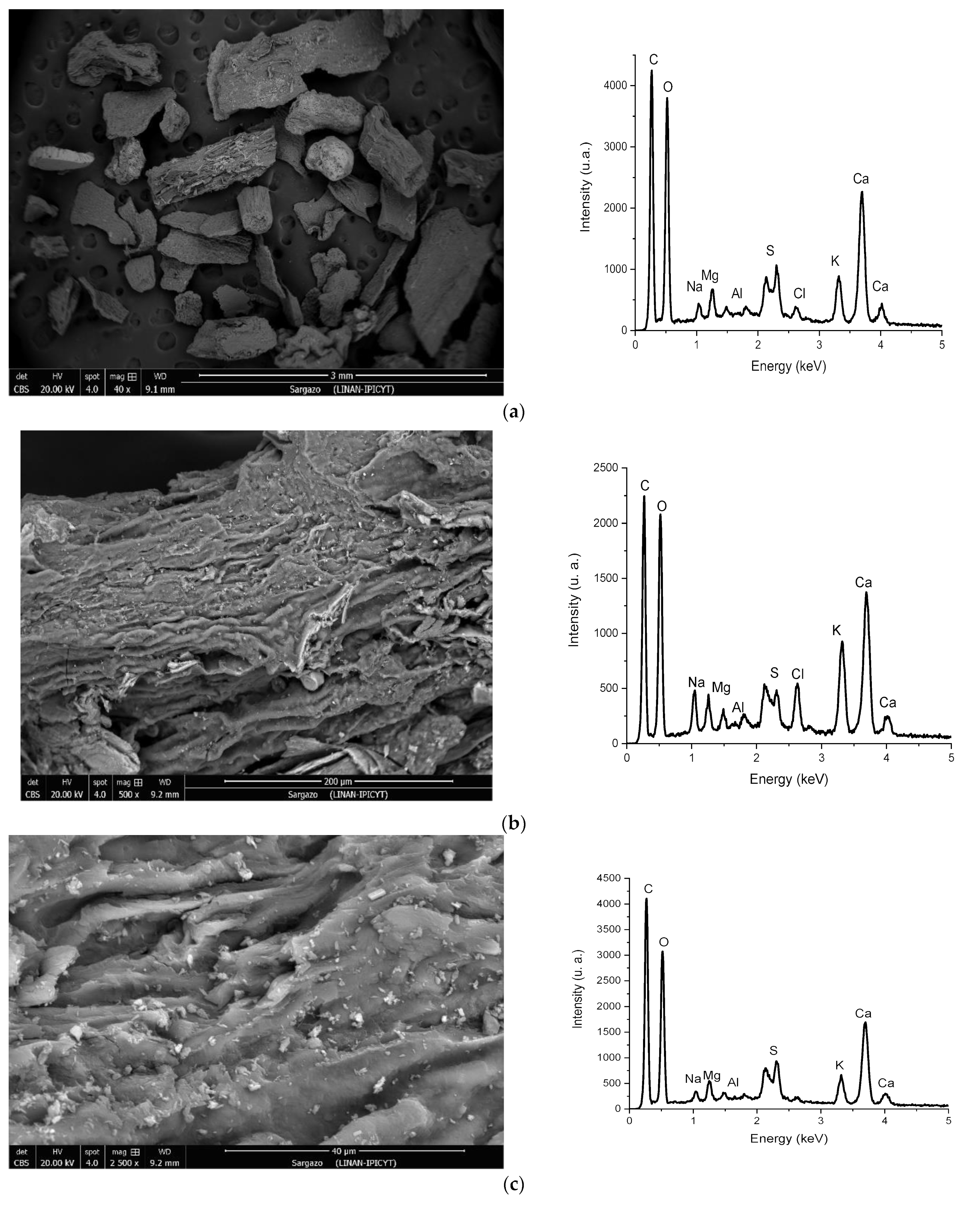 Ijerph 20 02559 g006