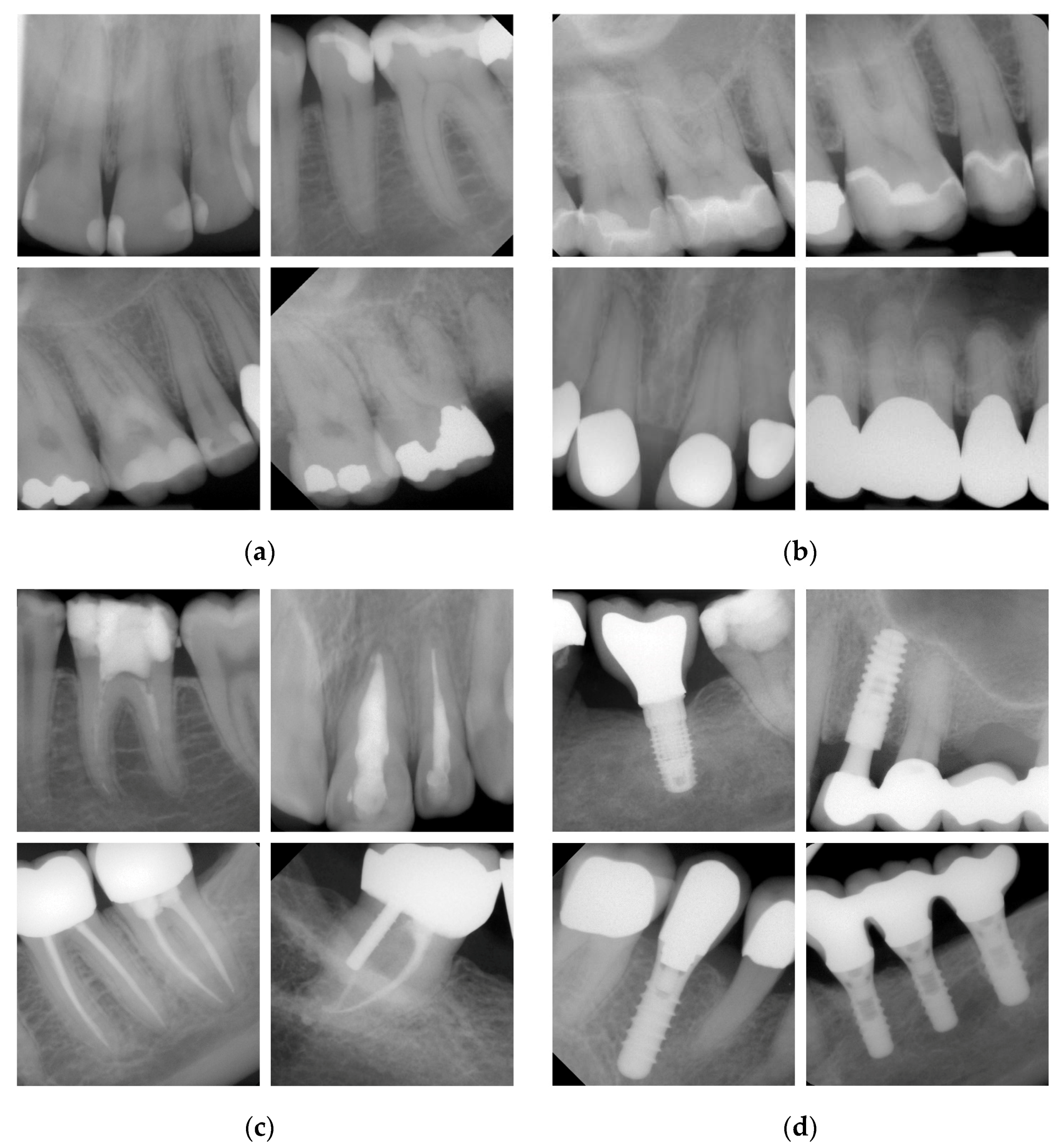 Ijerph 20 02619 g001 550