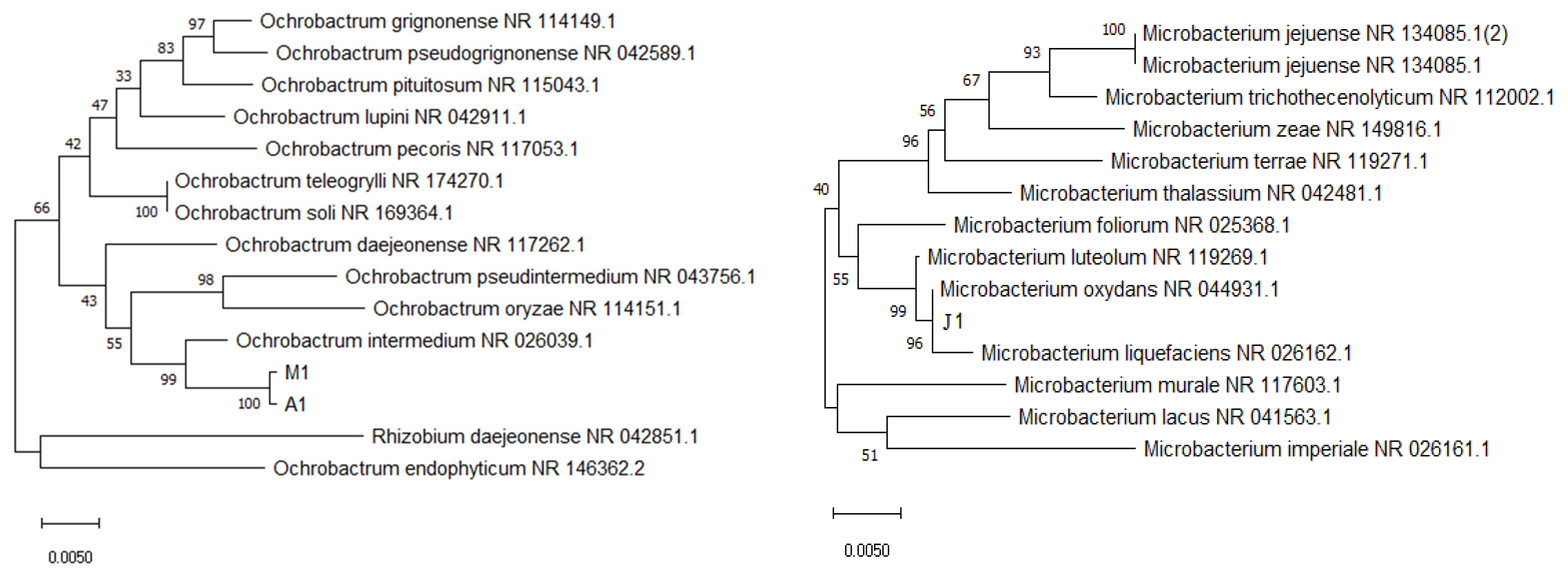 Ijerph 20 02767 g001