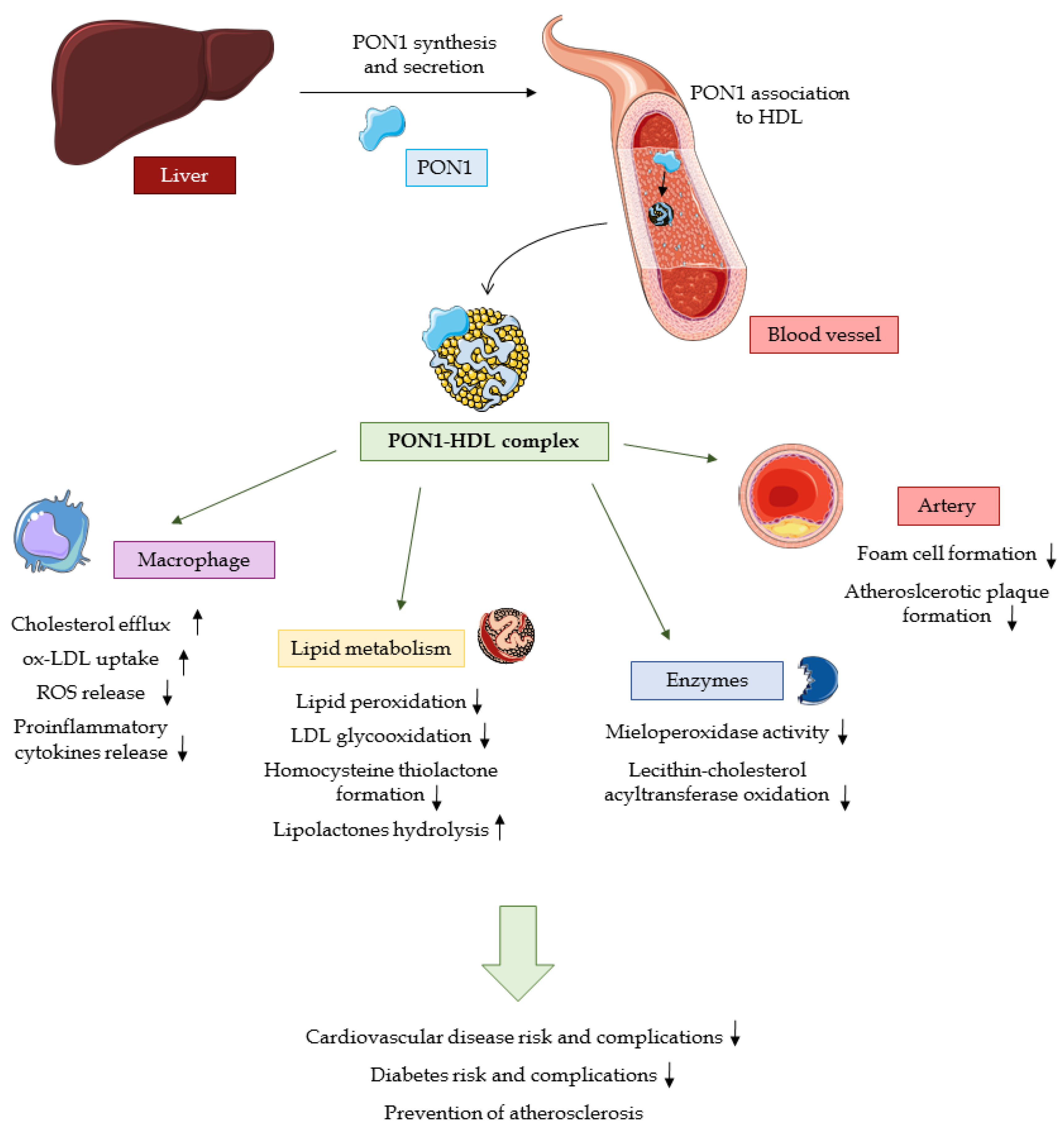 Ijerph 20 02813 g002 Ijerph 20 02813 g002