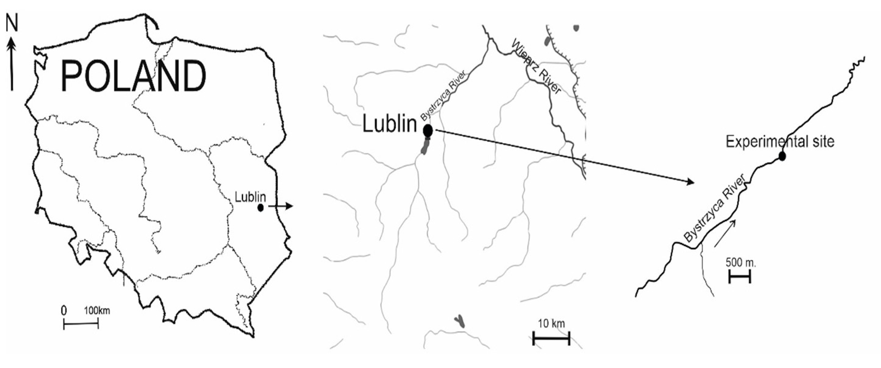 Ijerph 20 02834 g001 550