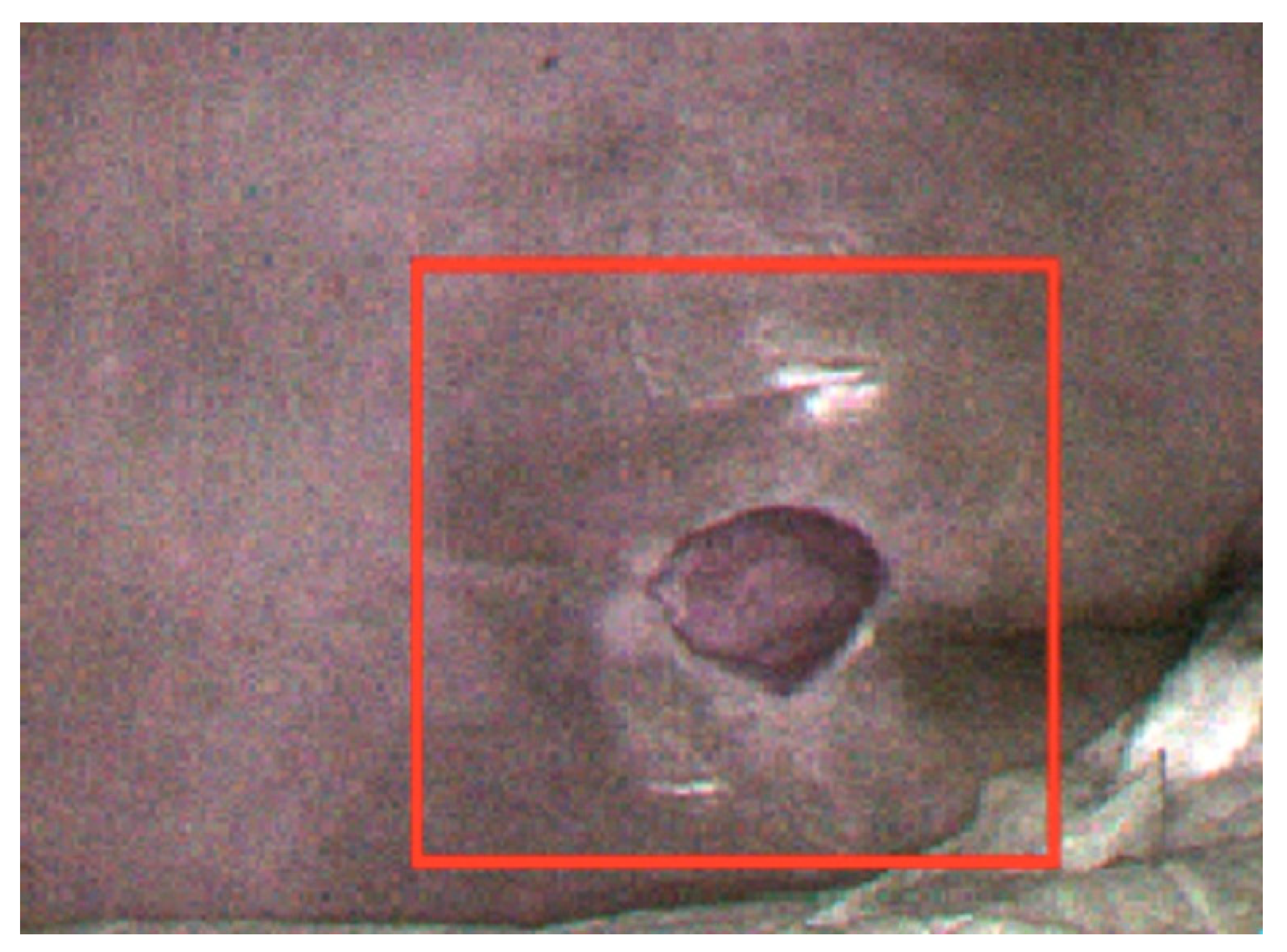 Ijerph 20 02851 g002