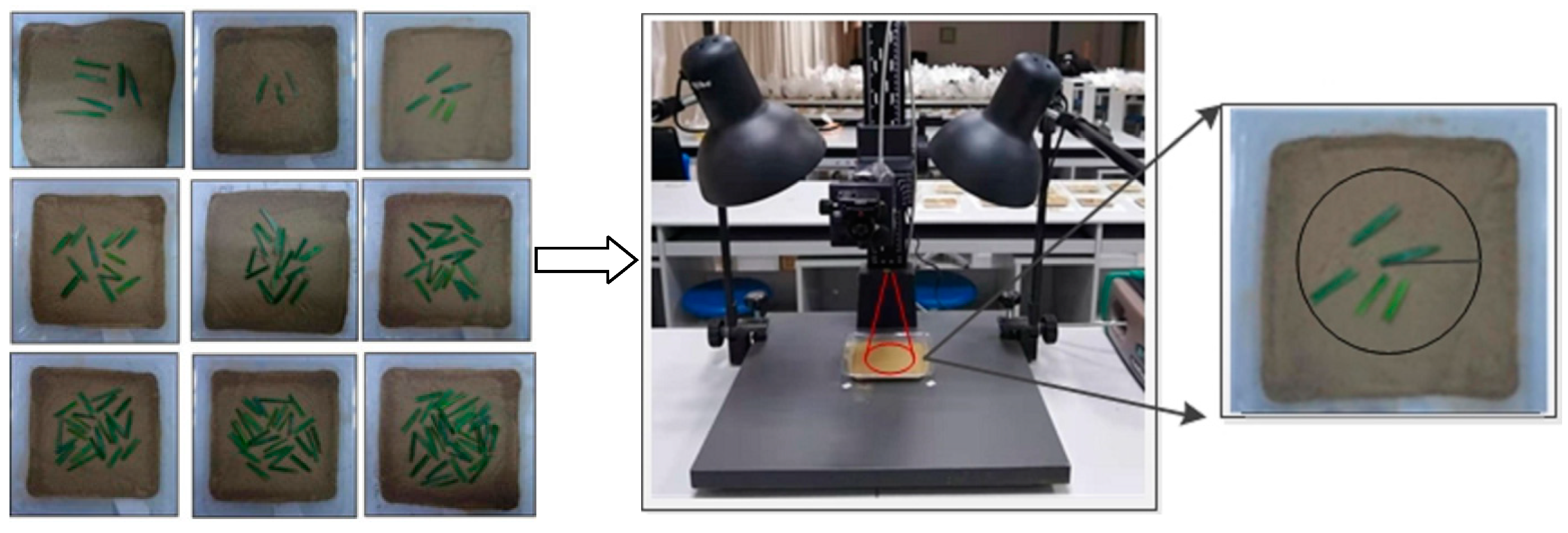 Ijerph 20 02853 g002 Ijerph 20 02853 g002