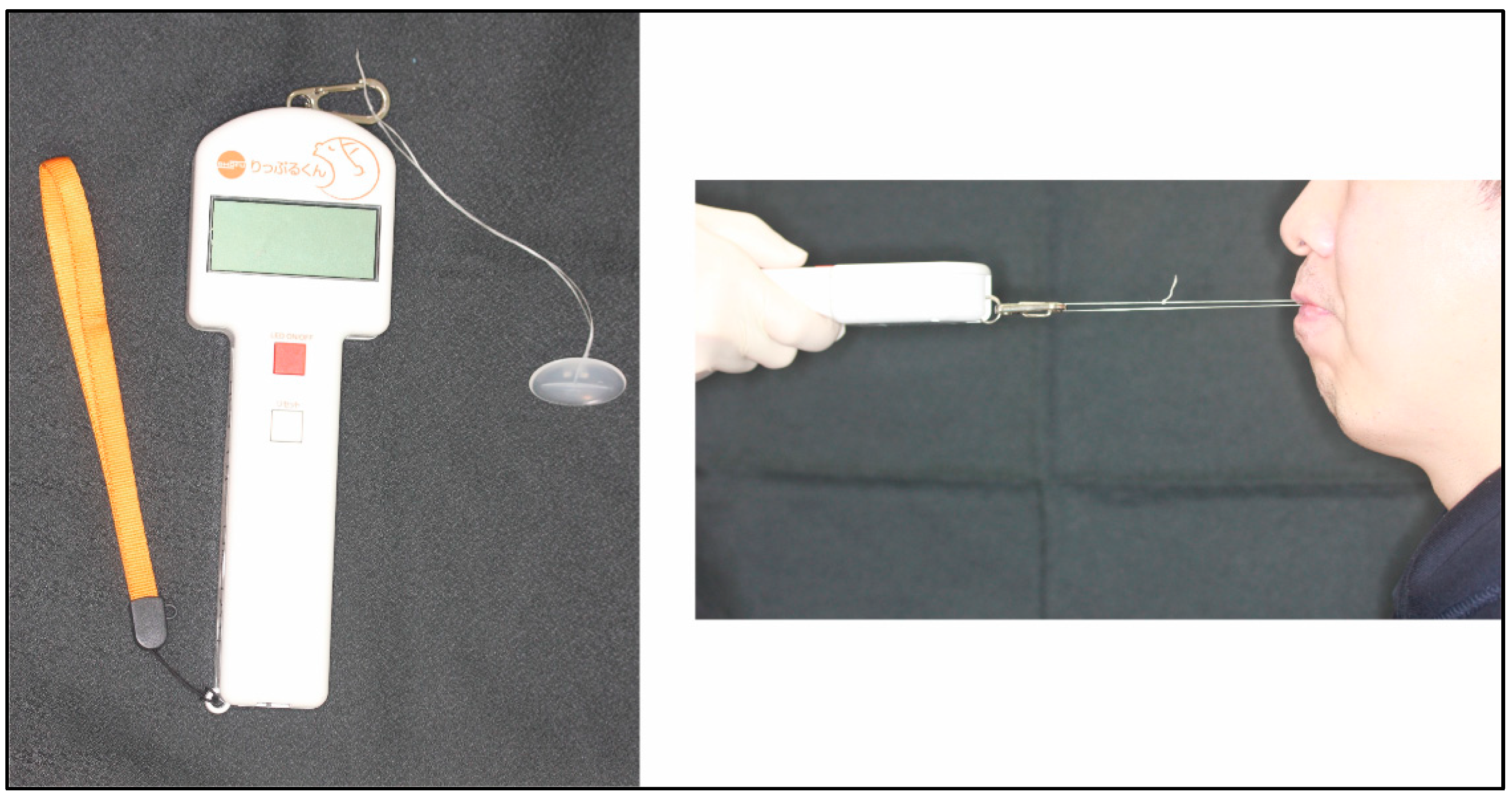 Ijerph 20 02862 g001