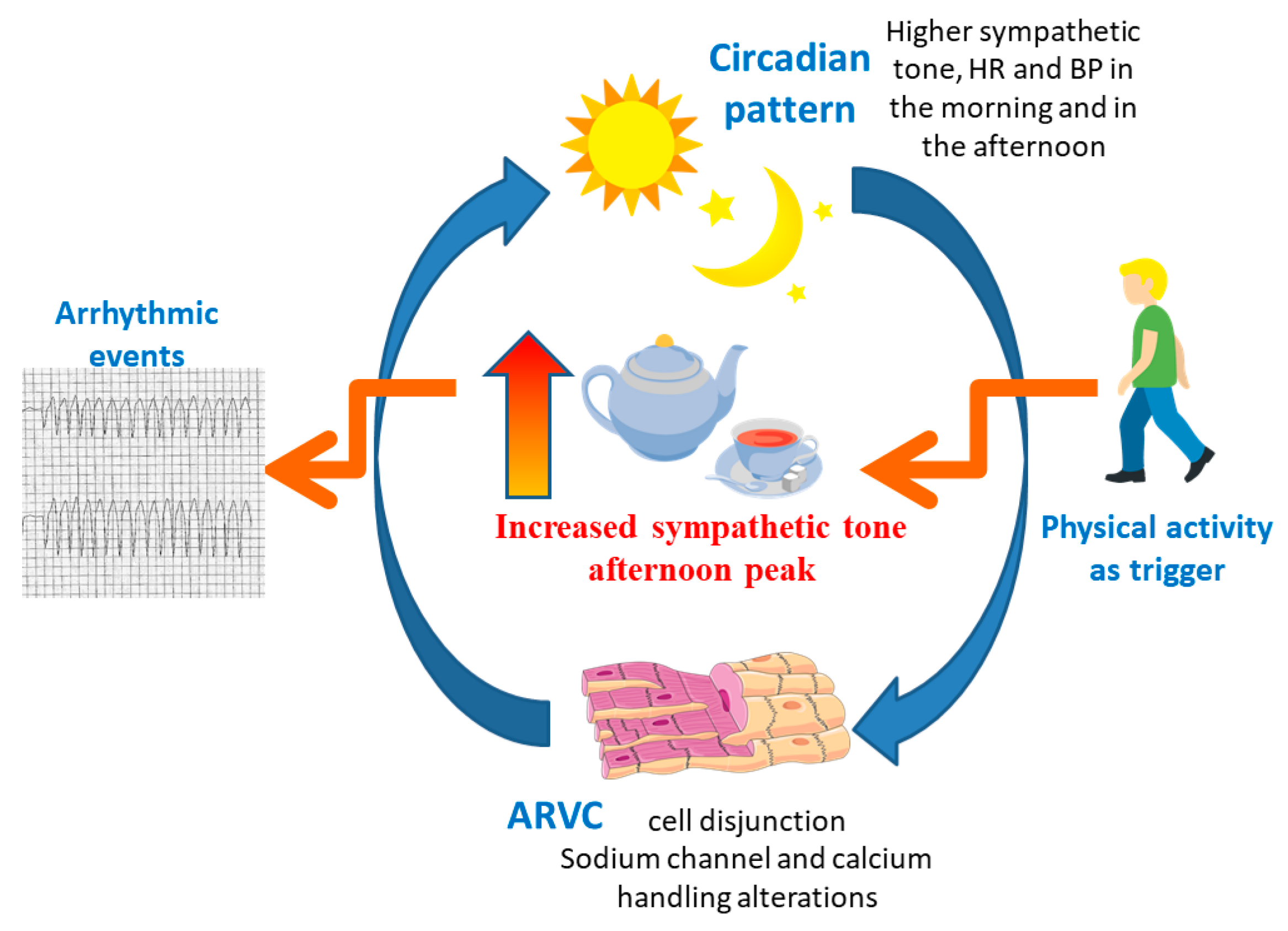 Ijerph 20 02872 g005