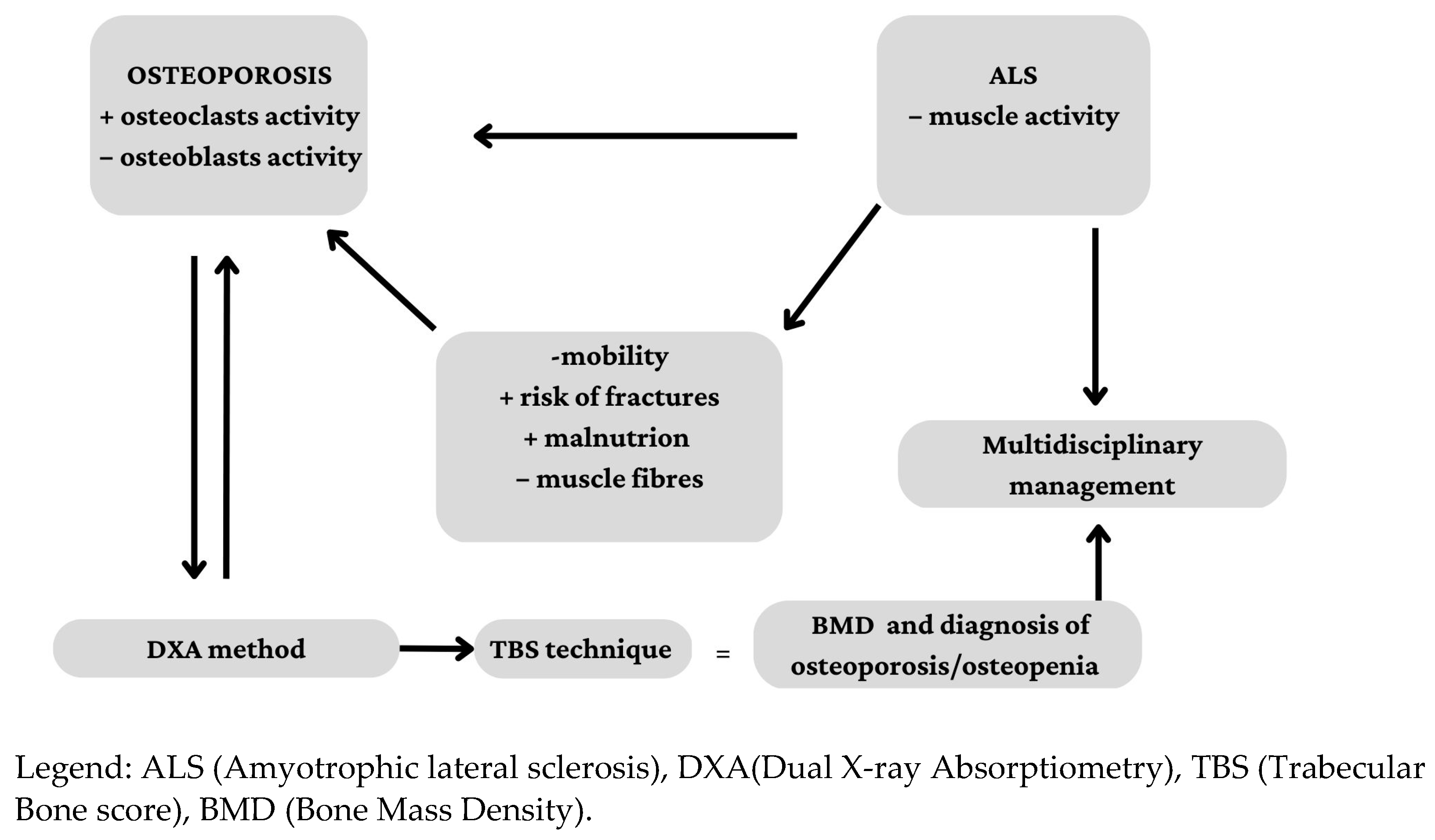 Ijerph 20 02923 g001