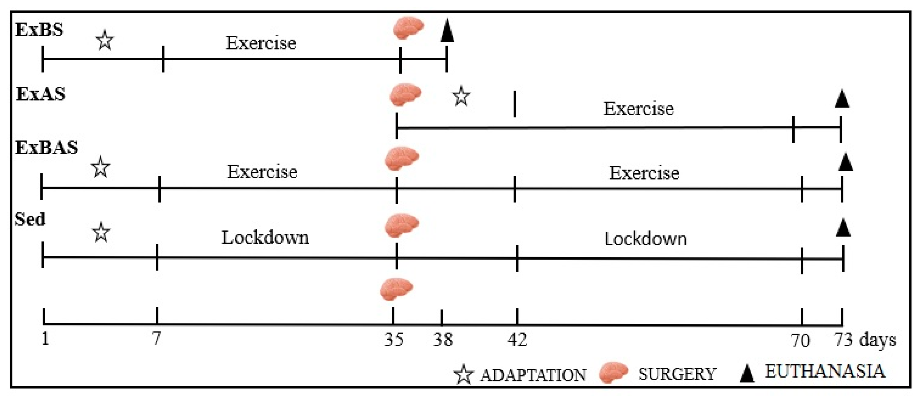 Ijerph 20 02925 g001 Ijerph 20 02925 g001