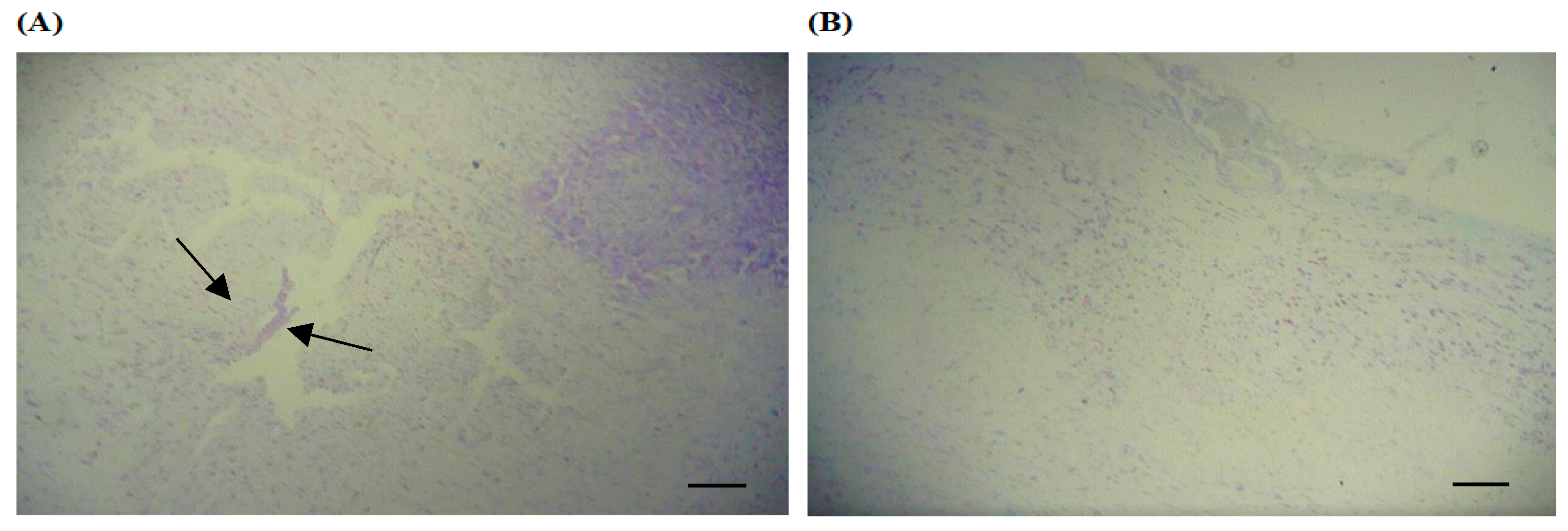 Ijerph 20 02925 g002 Ijerph 20 02925 g002