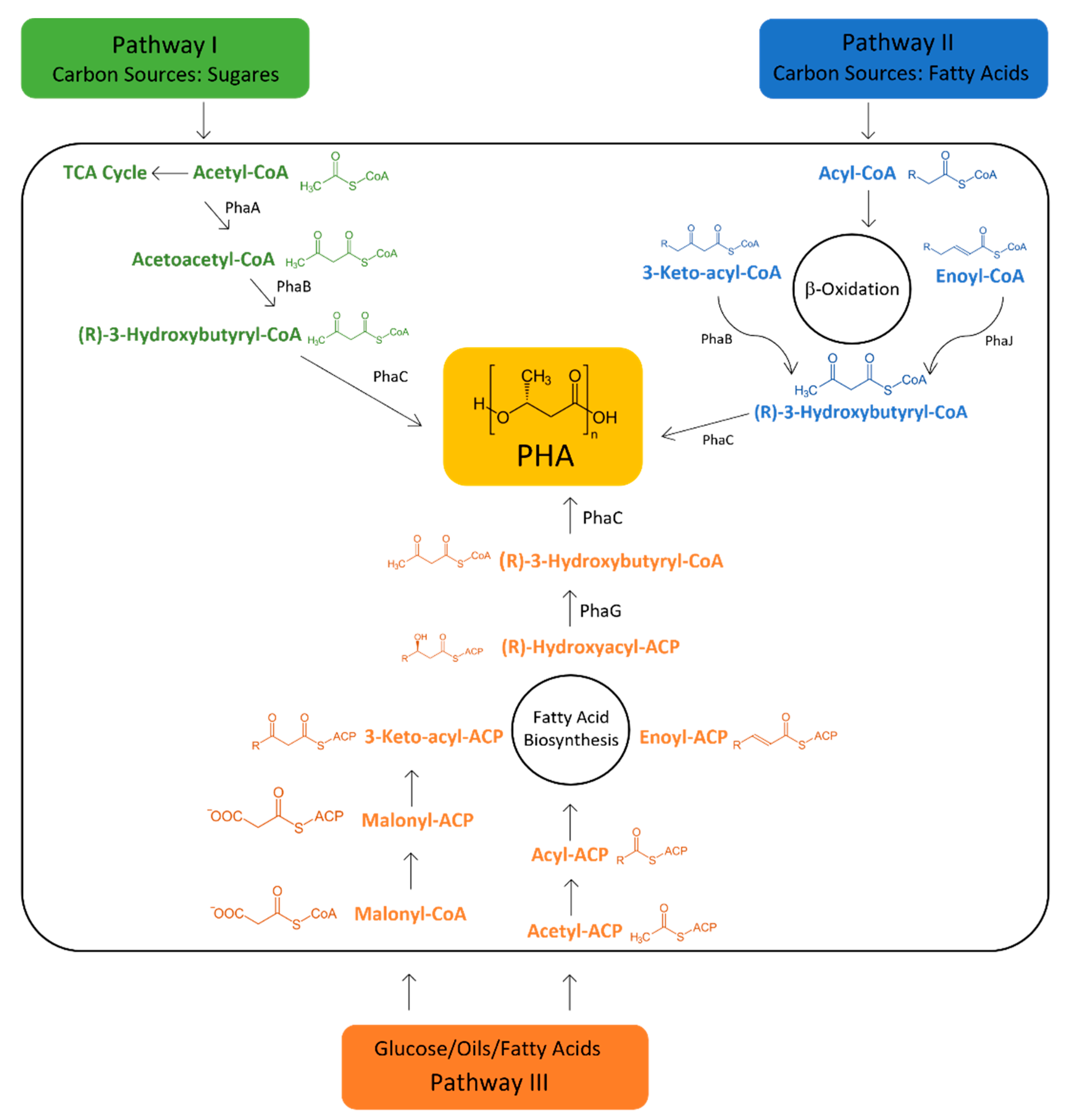 Ijerph 20 02959 g003