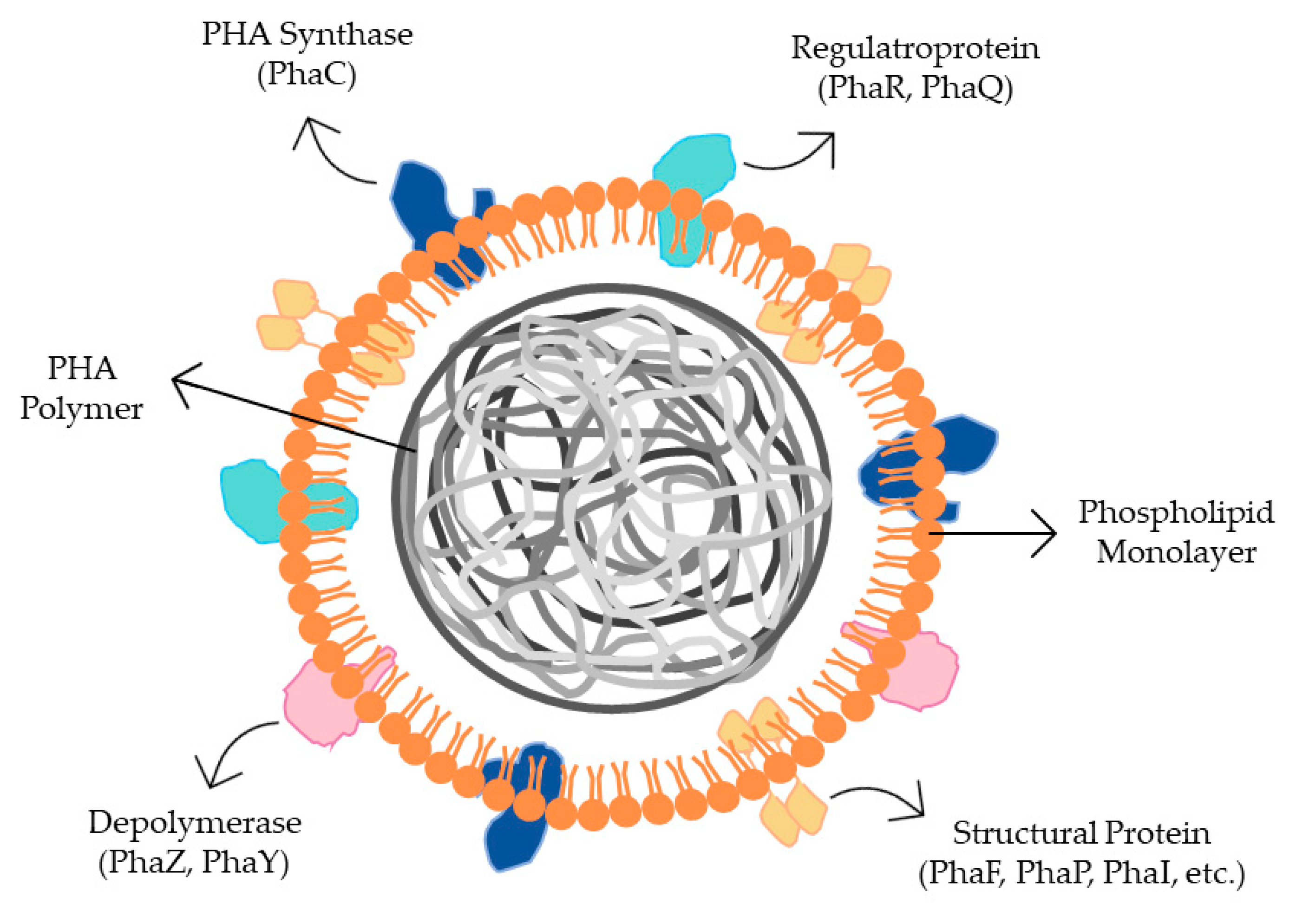 Ijerph 20 02959 g004