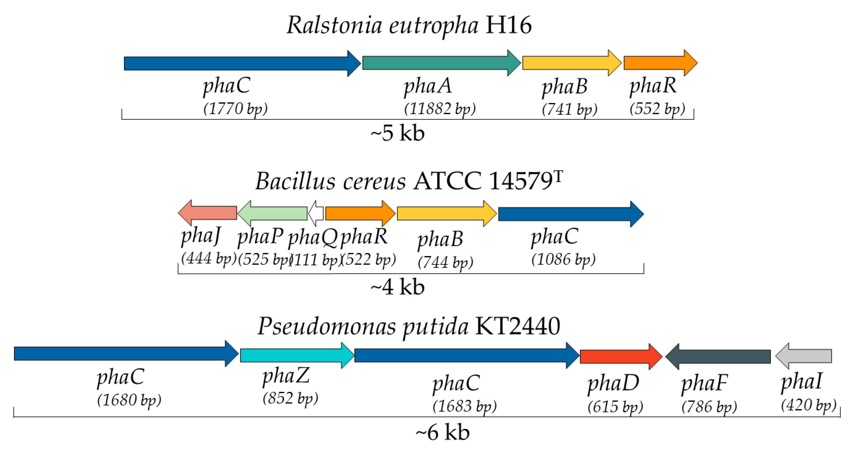 Ijerph 20 02959 g005