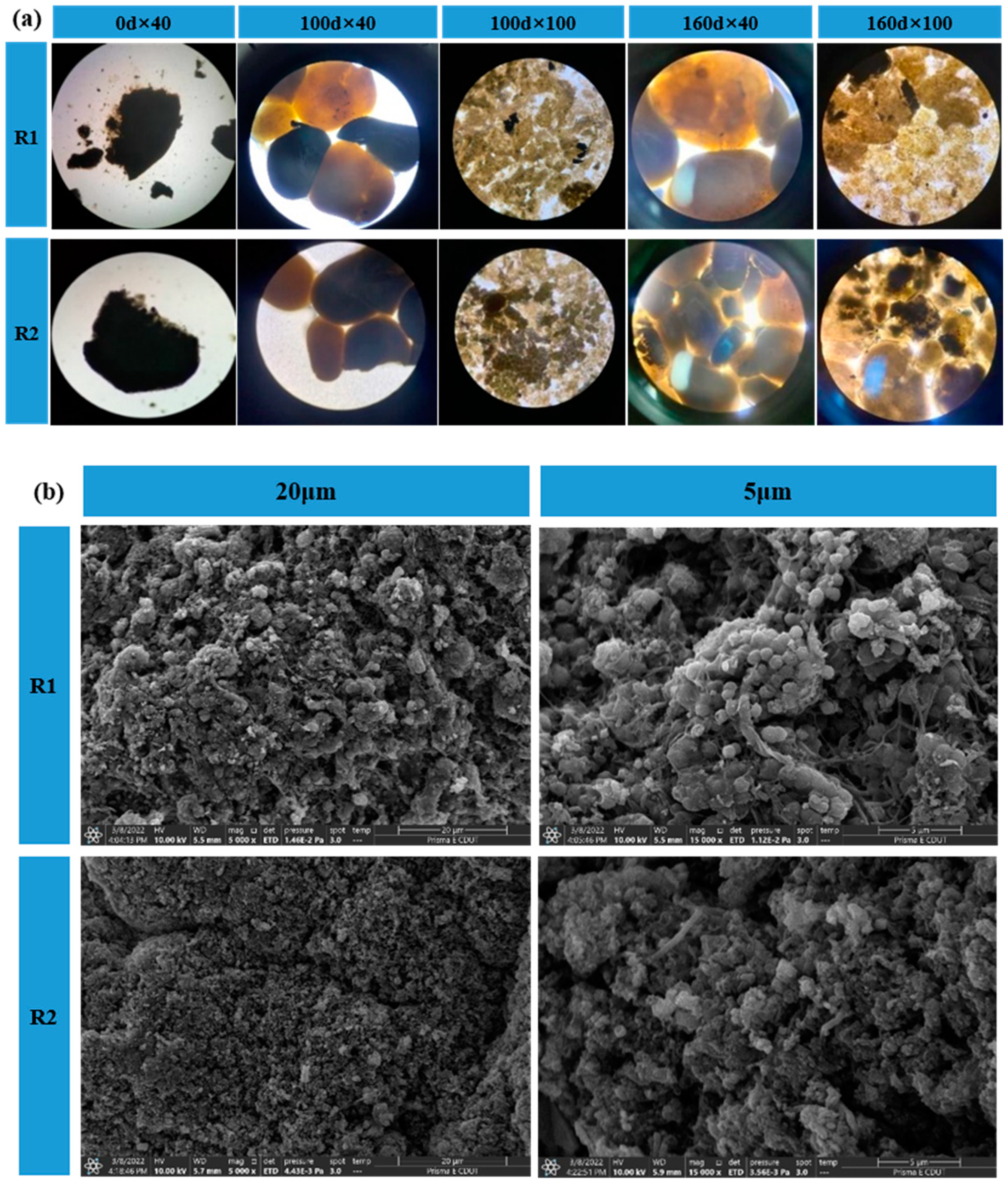 Ijerph 20 02979 g004 550