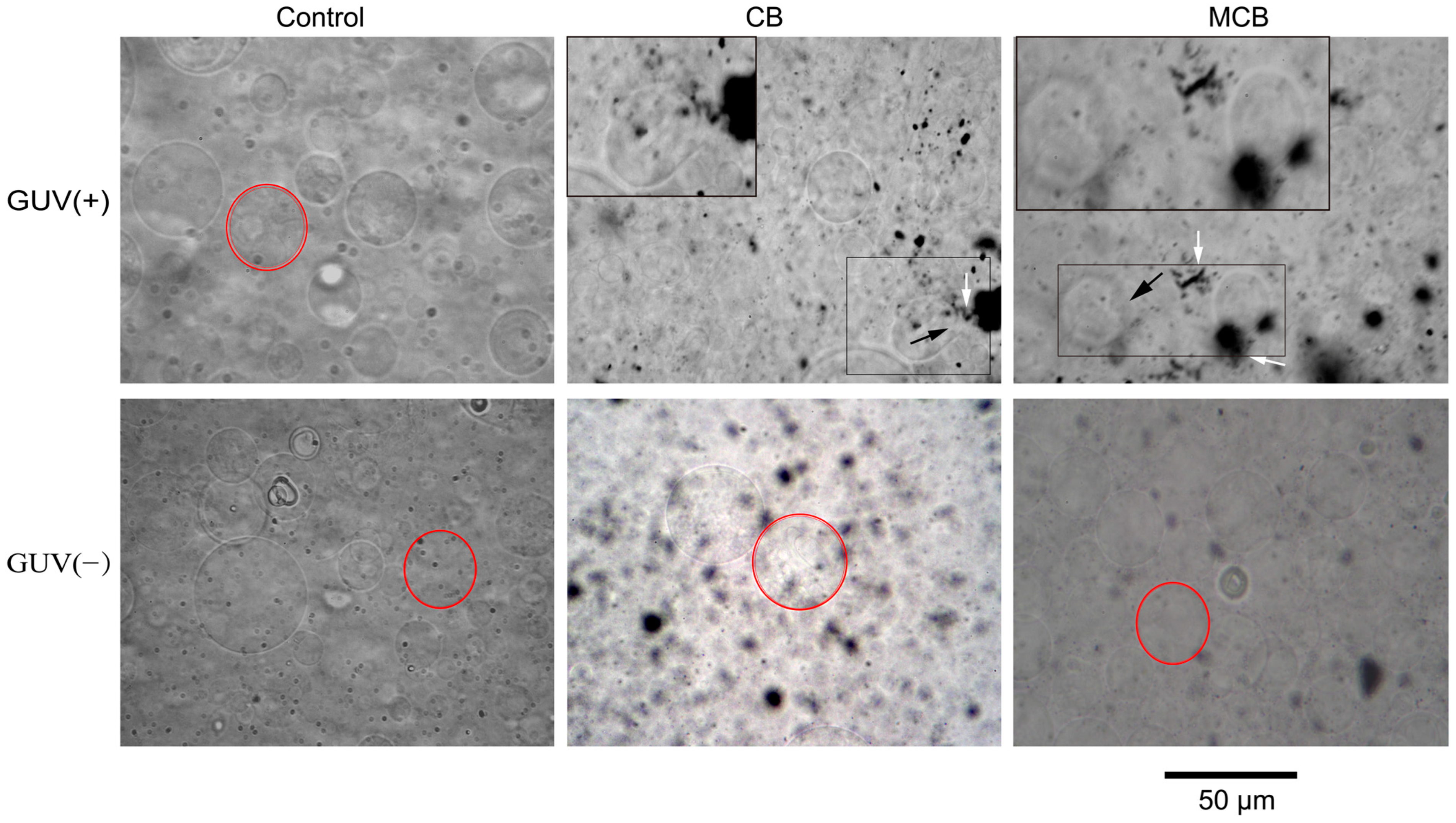 Ijerph 20 02999 g004