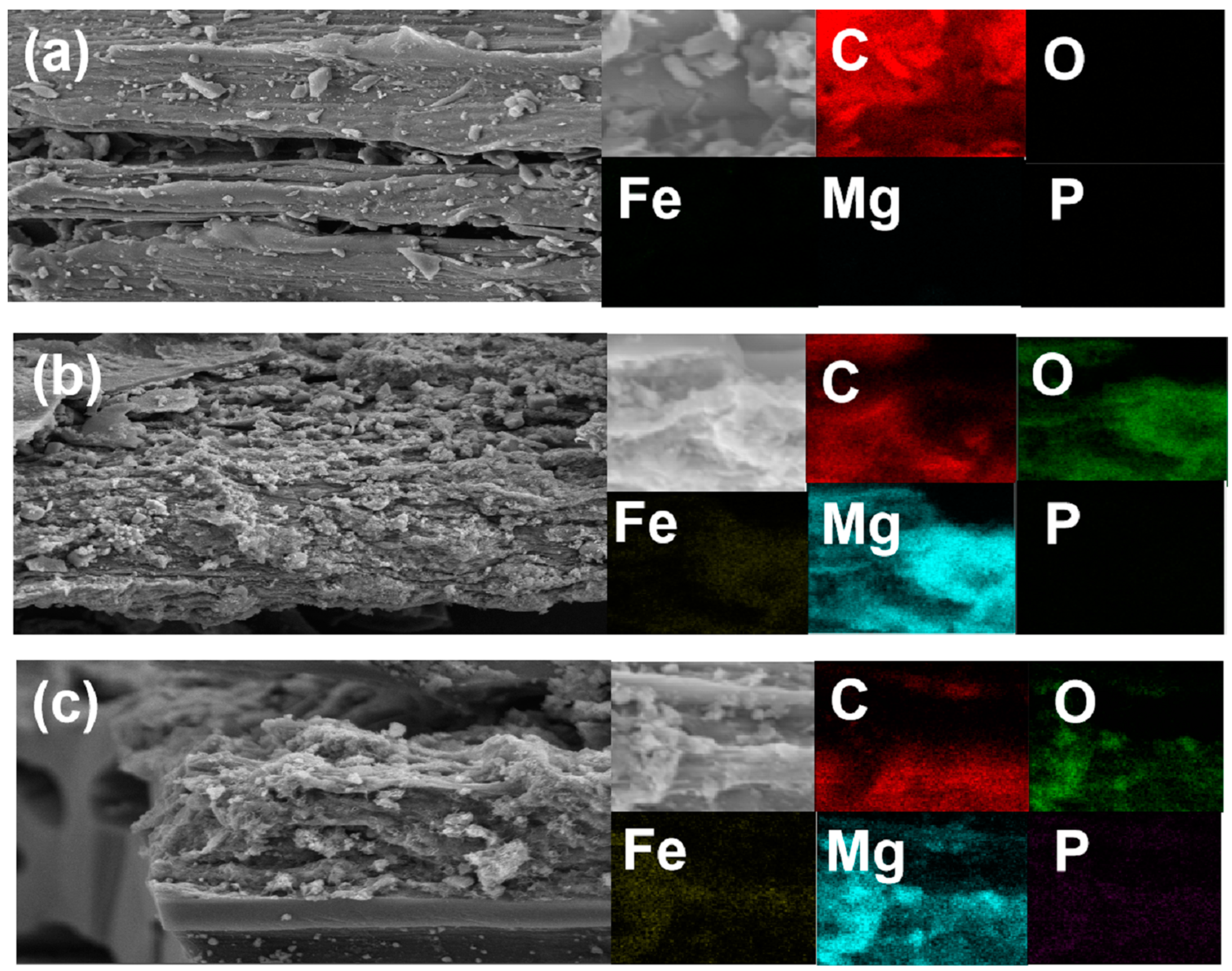 Ijerph 20 03051 g001