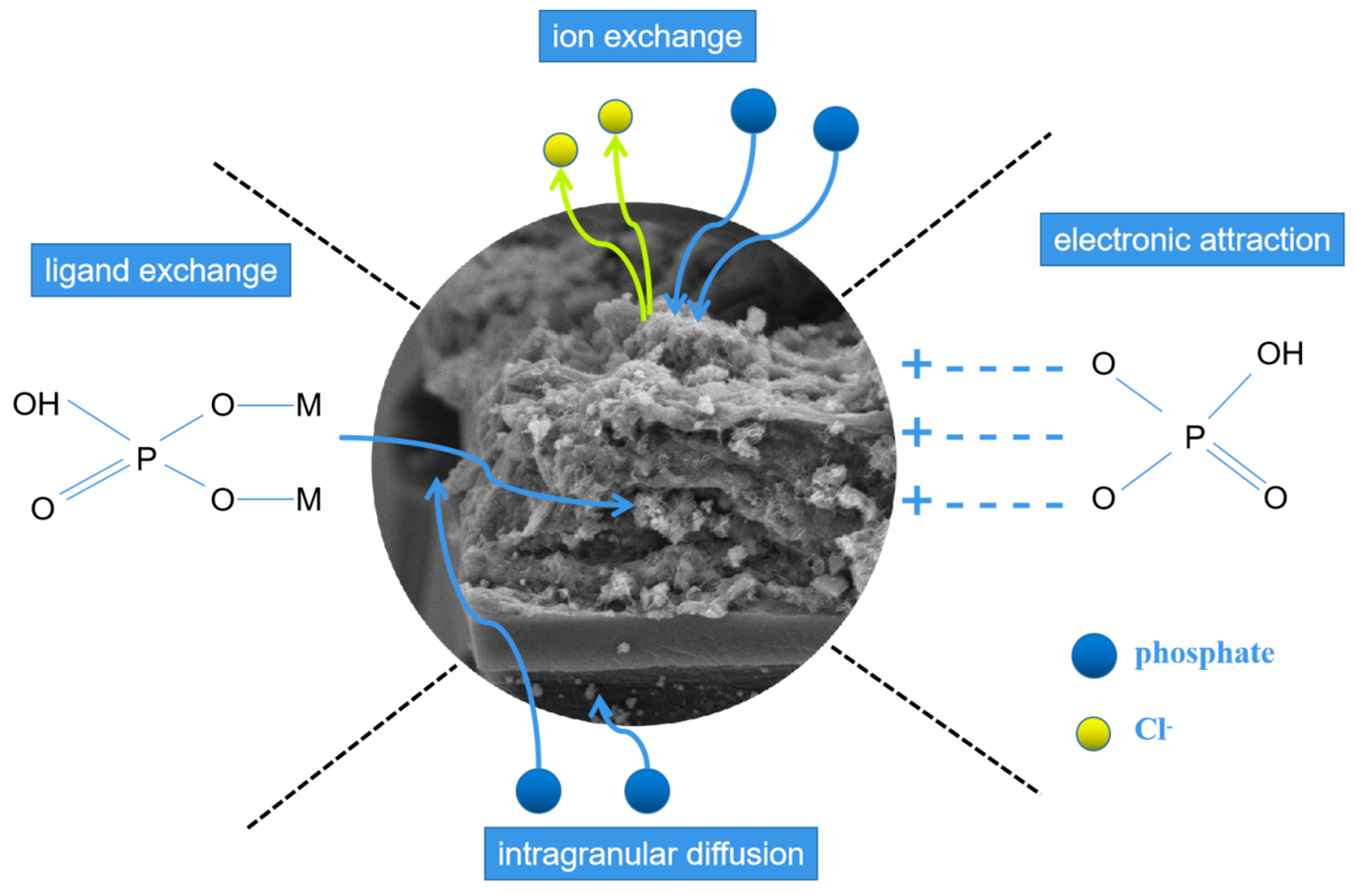 Ijerph 20 03051 g012