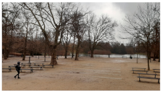 Ijerph 20 03067 i005