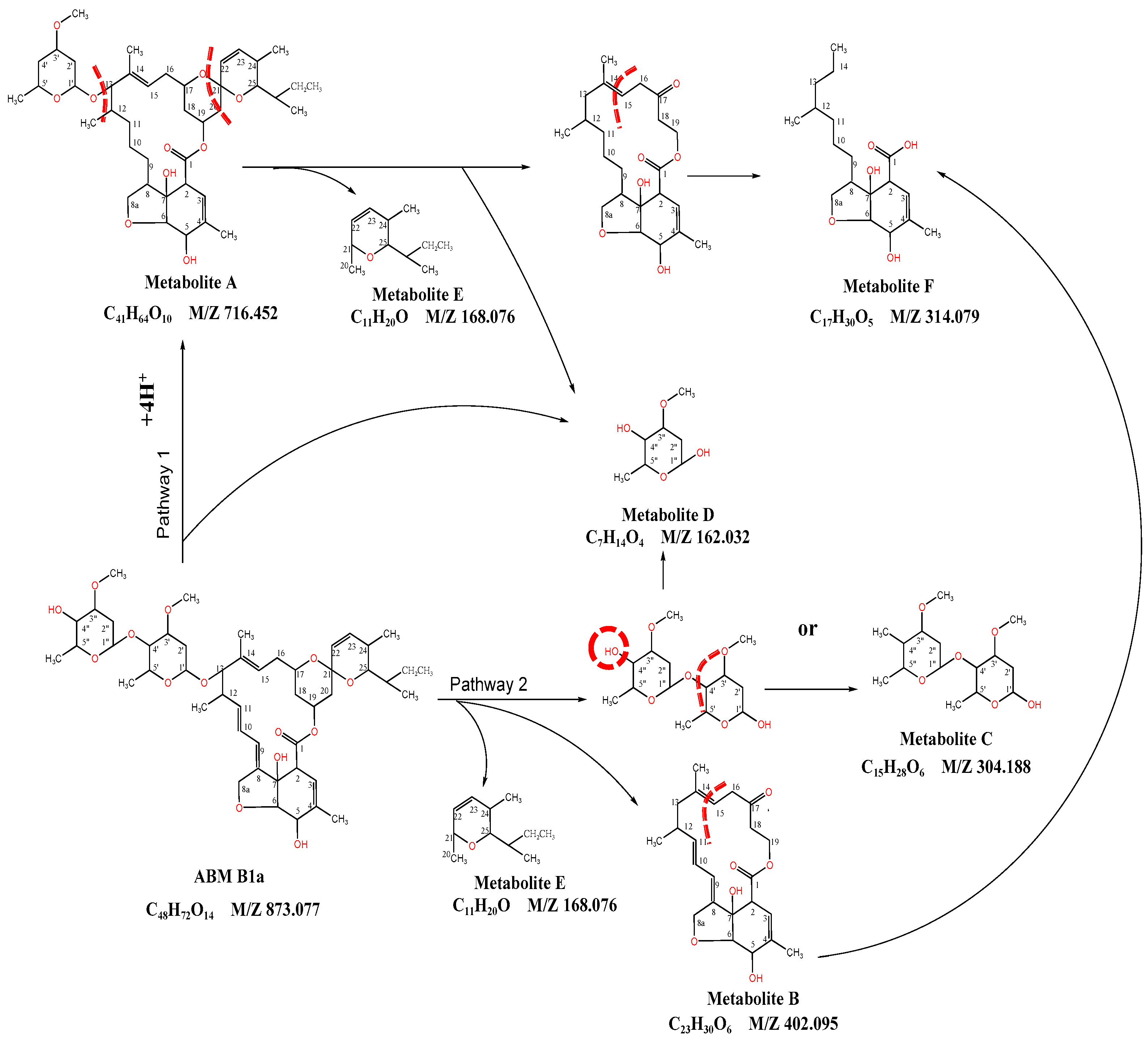 Ijerph 20 03068 g005 550