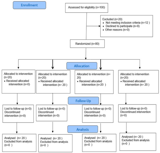Functional Occlusion