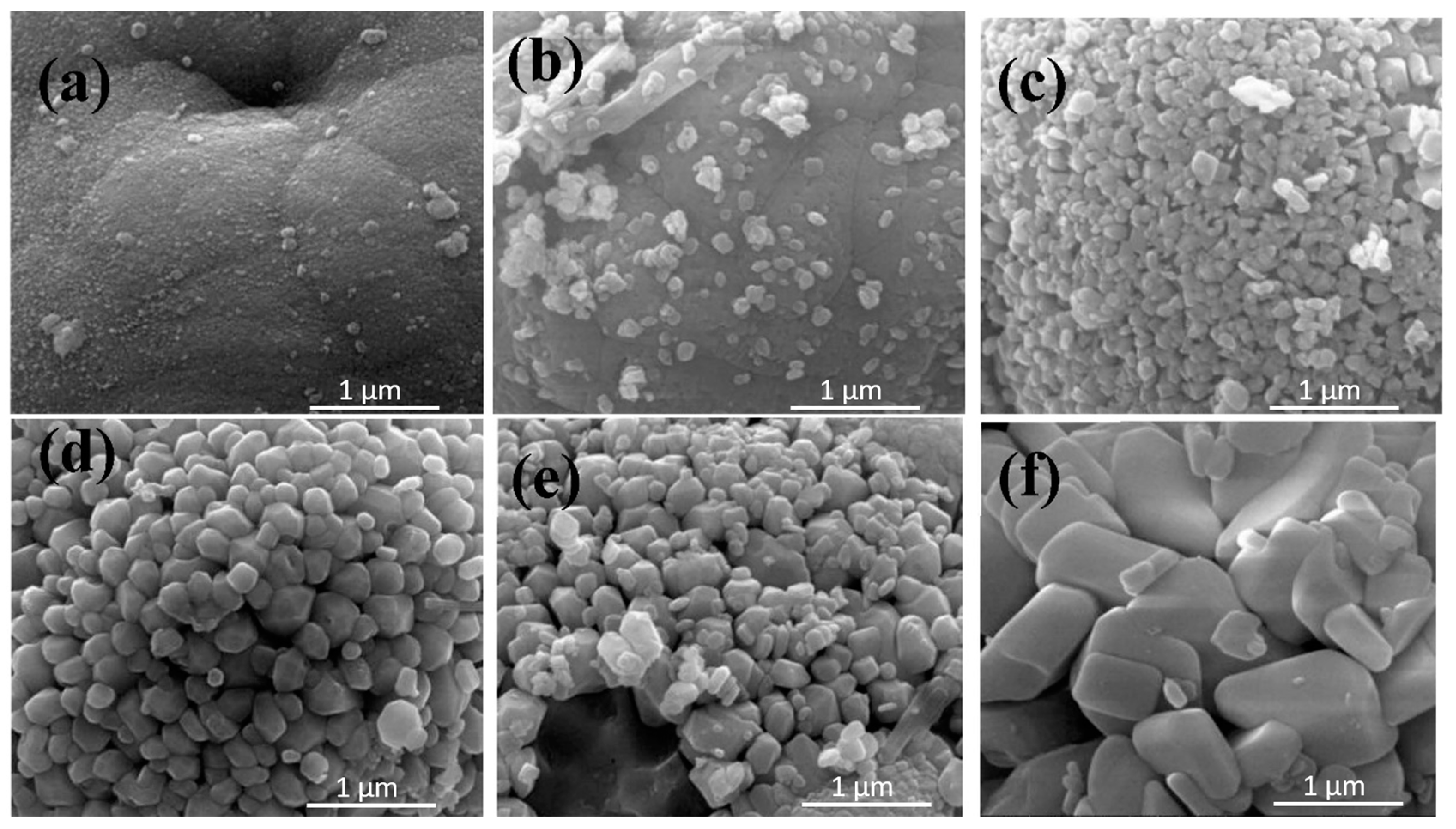 Ijerph 20 03093 g004 550