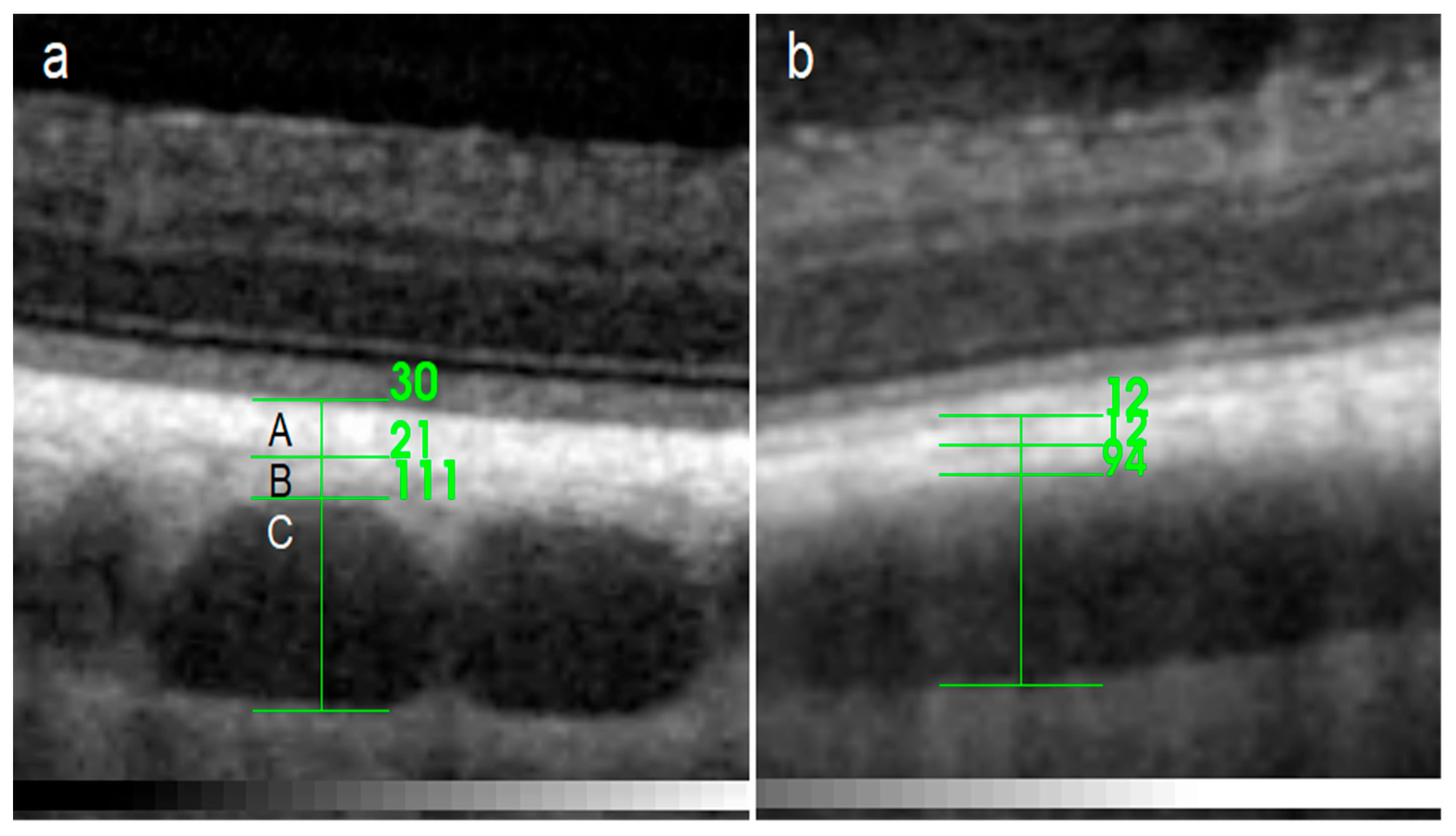 Ijerph 20 03121 g001