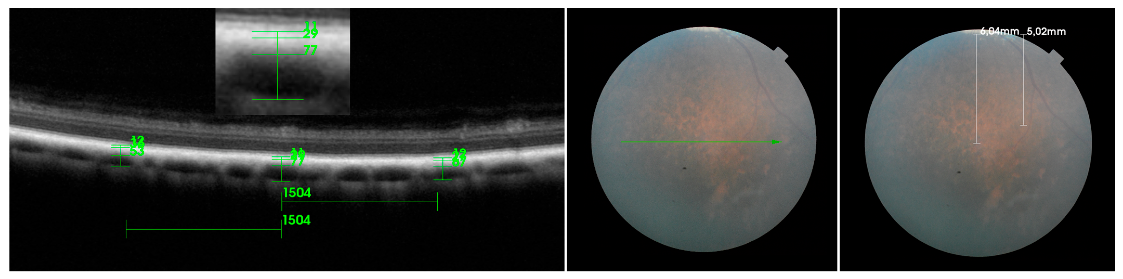 Ijerph 20 03121 g003