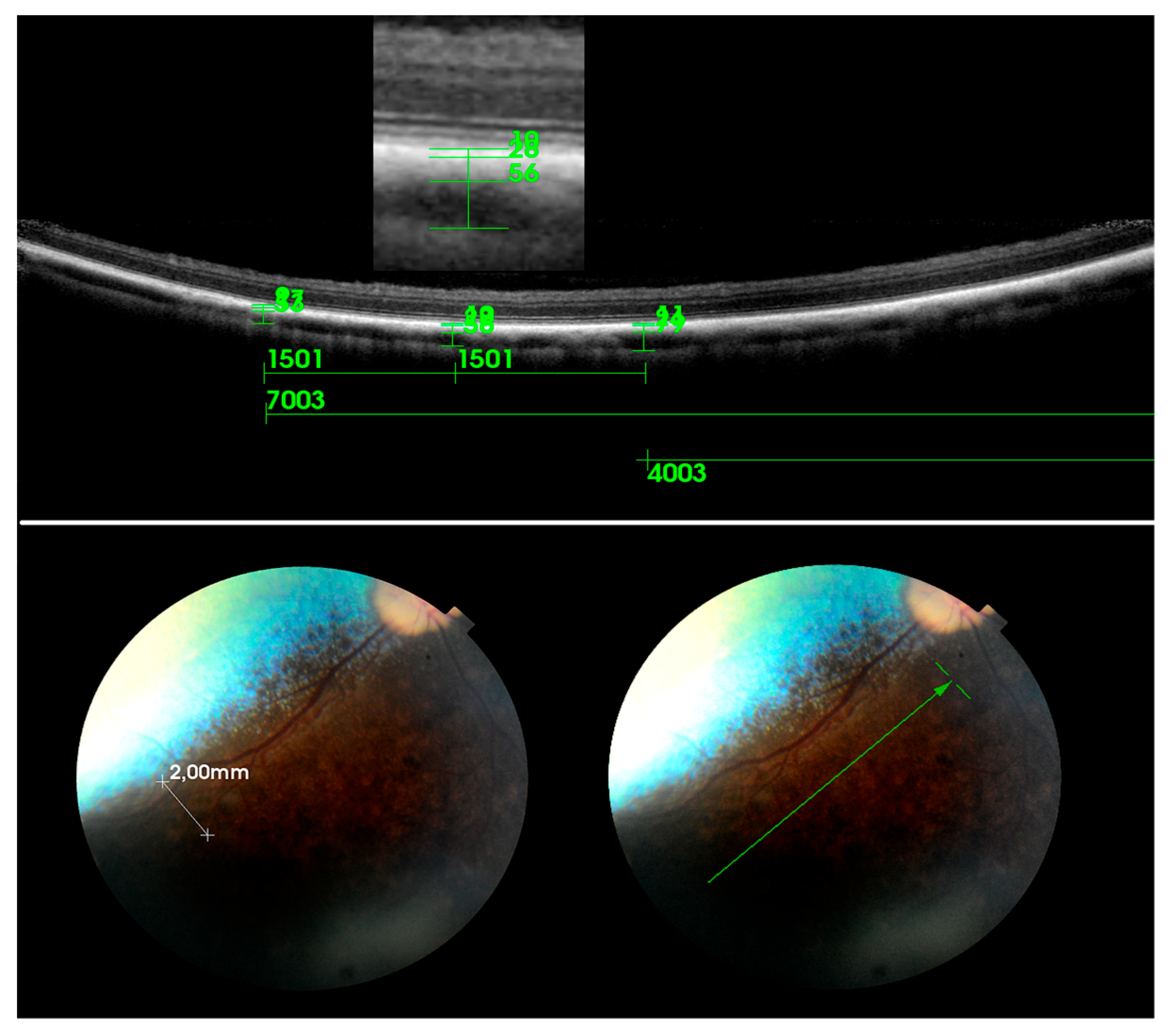 Ijerph 20 03121 g004