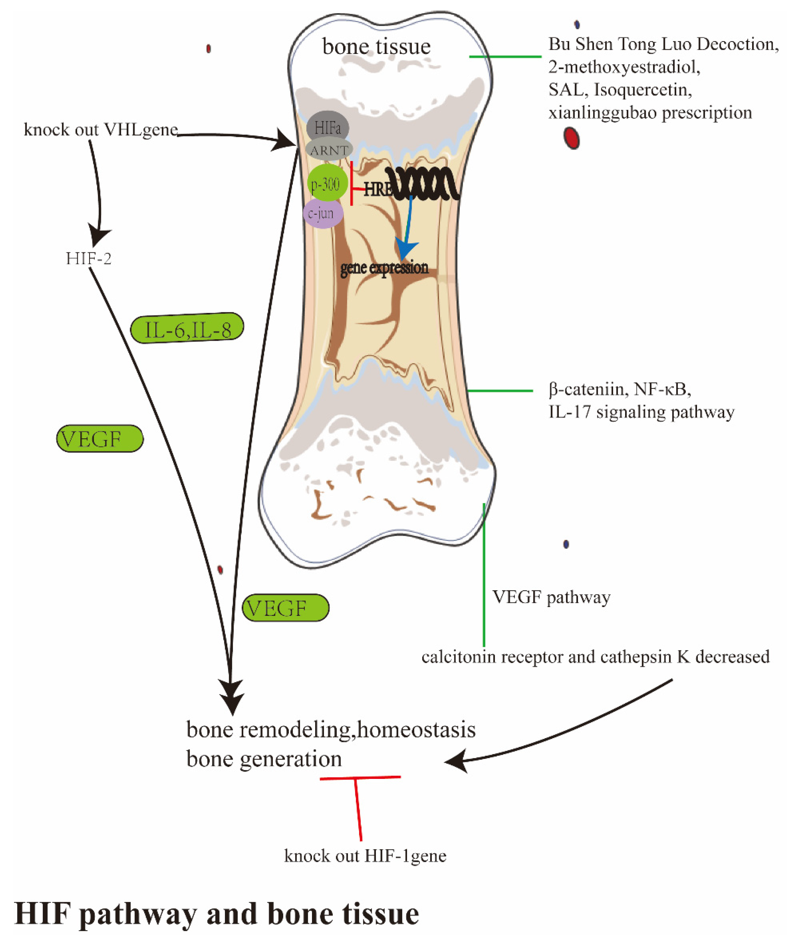Ijerph 20 03129 g002