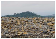 Ijerph 20 03130 i001