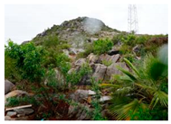 Ijerph 20 03130 i003